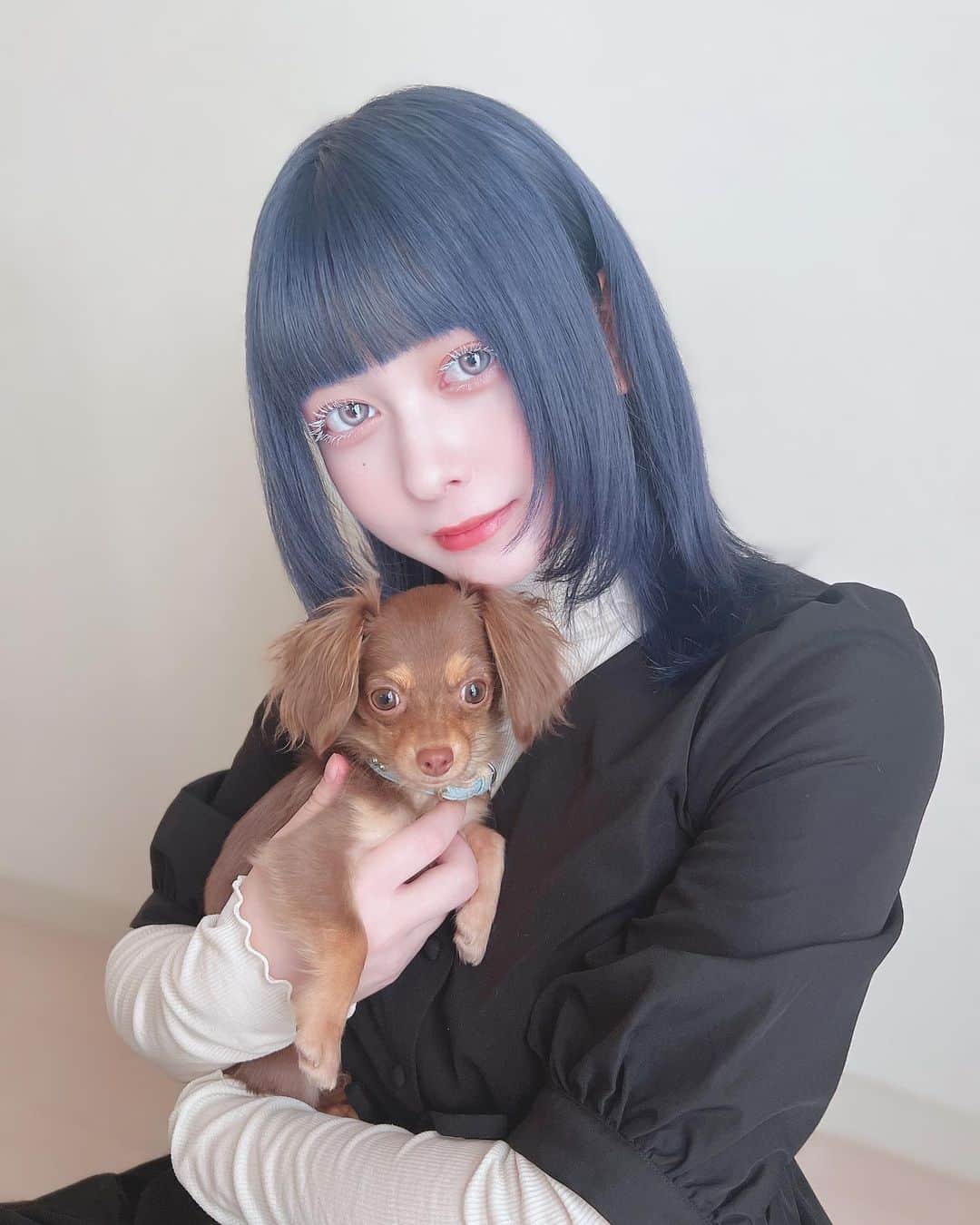 羽島めいさんのインスタグラム写真 - (羽島めいInstagram)「にゅーめいりんだお。  この前のアンケートで1番多かった色にしてみたよ💙💜 色落ちたのしみ〜   #ヘアカラー #ラベンダー  #ブルー #ヘアスタイル #ミディアムヘア  #ヘアアレンジ  #美容院 #イメチェン #自撮り」10月26日 19時07分 - mei__kmyd