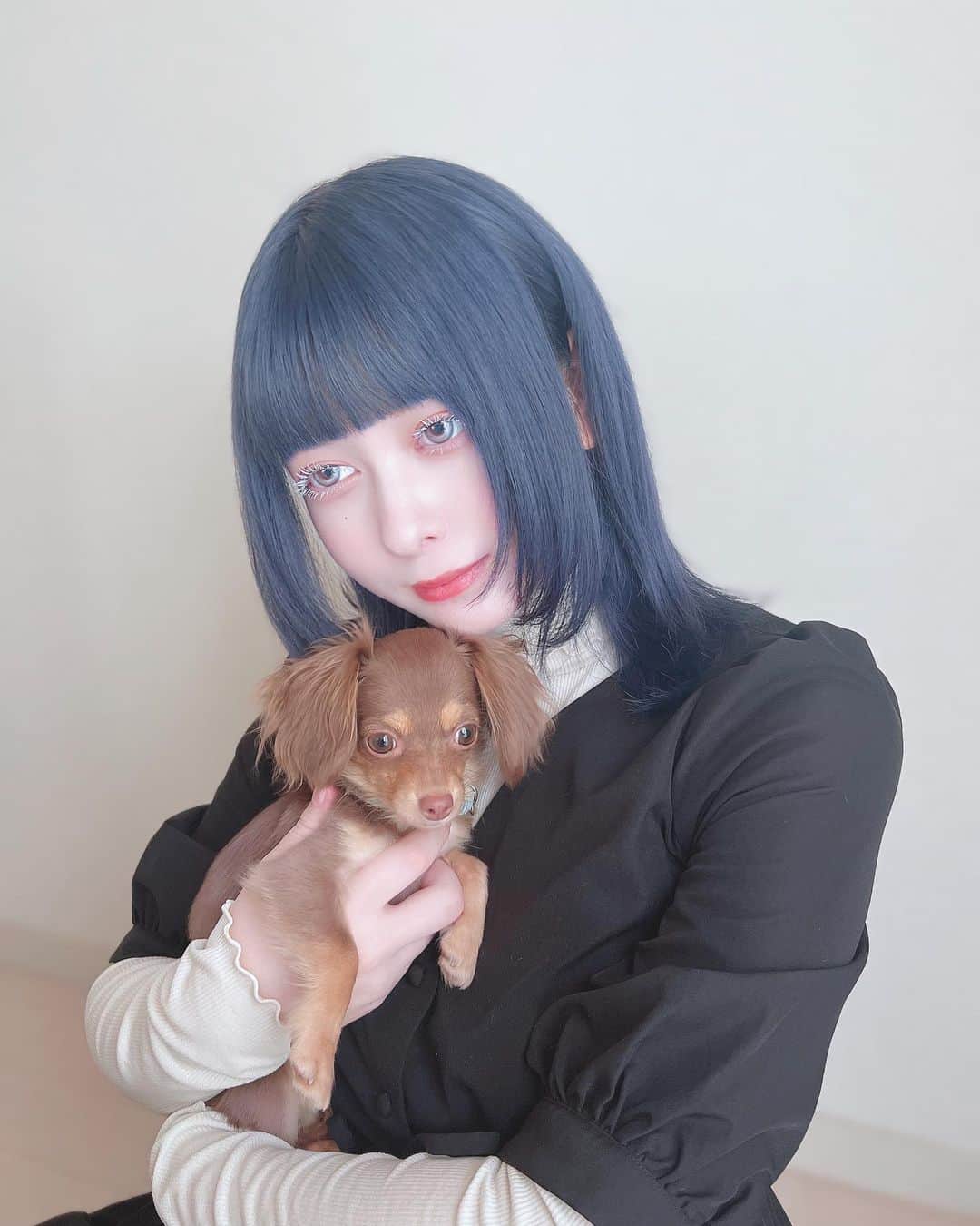 羽島めいさんのインスタグラム写真 - (羽島めいInstagram)「にゅーめいりんだお。  この前のアンケートで1番多かった色にしてみたよ💙💜 色落ちたのしみ〜   #ヘアカラー #ラベンダー  #ブルー #ヘアスタイル #ミディアムヘア  #ヘアアレンジ  #美容院 #イメチェン #自撮り」10月26日 19時07分 - mei__kmyd