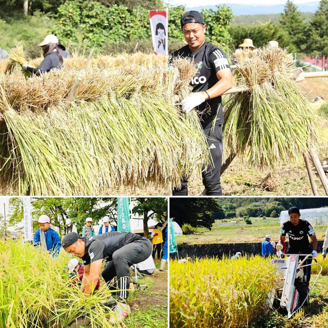 片山真人さんのインスタグラム写真 - (片山真人Instagram)「【ガチャスタグラム 農業篇】  今年も農業男子発動🧑‍🌾👨‍🌾 諏訪地域の小学生と一緒に🌾 めっちゃ楽しく痒く笑顔な期間やった😁  #ja信州諏訪 さんコラボの米作り仕事☀️ #毎年恒例 ✨ #稲作 🌾 #食農教育 ‼️ #農業男子 👨‍🌾 #痒み との戦いでもある🔥  諏訪・岡谷・茅野の小学校5年生と共に🤝 #長地小学校 🏫 #岡谷田中小学校 🏫 #茅野 金沢小学校🏫  みんな各学校でいろんなカラーがあったりいろんな奴いたりで楽しかったな⤴️  参加した行程は、各学校で、 #田植え 🌾 #稲刈り 🌾✂️ #はぜ掛け ☀️ #脱穀 🌾  ①田植え😈 みんなで泥だらけになりながらやった👍 ⚠️どの学校にも泥とか投げてくる奴はおったな😏 男女問わず😆笑  ②稲刈り、はぜ掛け😈 #プロ 稲刈り選手降臨😎✌️ #ベテラン の技✨ ⚠️学校によっては3時間稲刈った時もあったな🔥 #自己流 😜  ③脱穀😈 #機械 の進化👏 #千歯こき とか昔の機械も使った‼️ #目利き 係（脱穀機のお残しチェック係）  ほんまみんなとワイワイ楽しくやれたわ😆⤴️  食べ物を作る行程や種類、農家の方の熱い想いも含めて食べ物は当たり前にある訳じゃないってことを一緒に学べたし伝えれた‼️  この事業に関わって5年以上、来年も楽しみや😌🌾  さああとは食うだけ😋 #米 #餅米   各学校様、食う会（収穫祭）は絶対呼ぶように🙌🥺笑  #片山真人 #ガチャ プロ稲刈り選手🌾 #稲 の痒みにも打ち勝った男👨  そんな今年度の農業男子でした👨‍🌾☀️ 来年へ続く↪️  さあ、週末近し🔥 相模原、参戦するぜ⚽️  #松本山雅fc 🔥 #勝つ のみ🔥  稲作もサッカーも大事なんは… #onesoul 🫵」10月26日 19時07分 - gachastagram.11