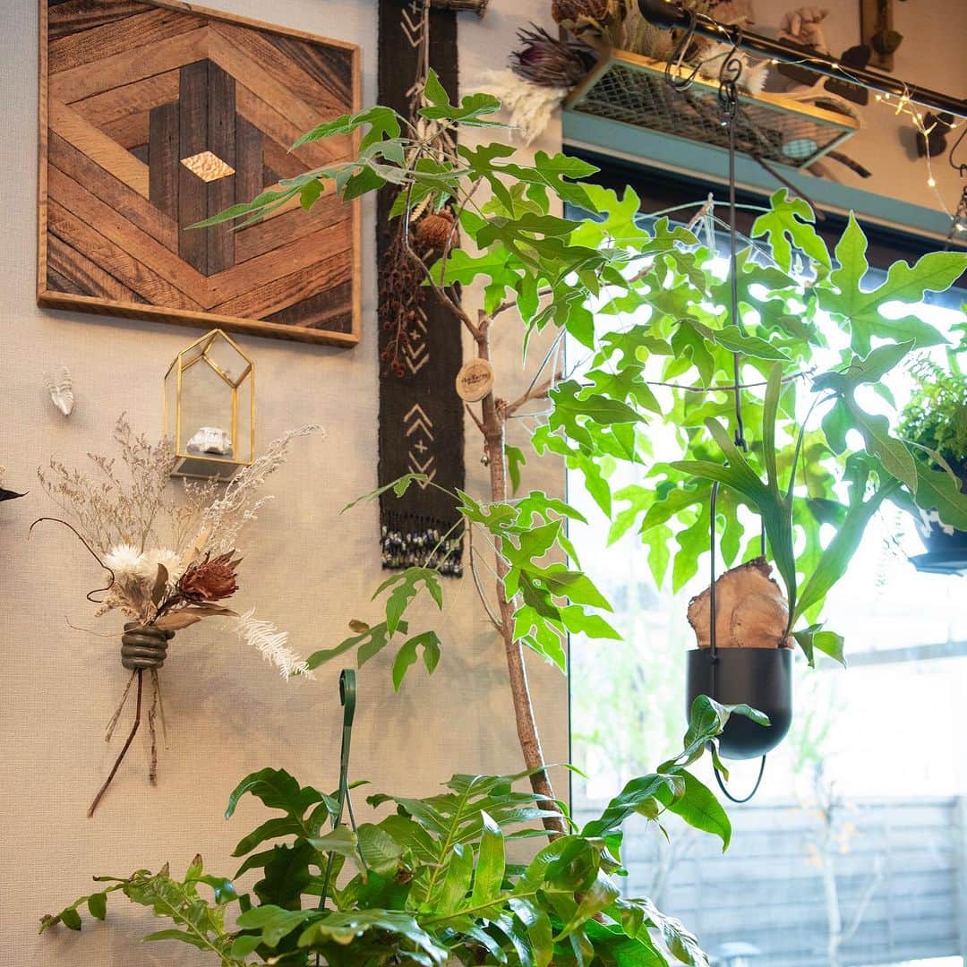 suzukuri さんのインスタグラム写真 - (suzukuri Instagram)「【Viento施工事例：千葉県S様】 多くの植物に囲まれて暮らすS様邸。甘くなりすぎず、個性的でかっこいい家具や小物と調和のとれた空間です。  植物たちは、日本の気候に合っているものやドライフラワーになりやすいものを選びつつも、それぞれの部屋の雰囲気に合わせて多種多様なラインナップになっています。  華やかで落ち着く植物のある暮らし。 好きなものに囲まれた暮らし。  こんな家を作りたいと思ったら！「いいね」で教えてください♪  ▶︎Vientoの詳細・資料請求とカスタマイズシミュレーションはプロフィールリンクから。⁠ →@suzukuri.official」10月26日 19時11分 - suzukuri.official