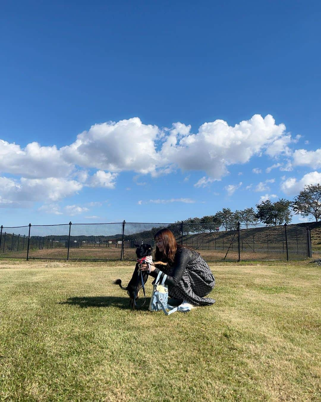 石森虹花さんのインスタグラム写真 - (石森虹花Instagram)「🐕🌞  ピノと実家のわんことダックスのタイガーくん🐶🤍 ドッグラン走ってるの気持ちよさそうで嬉しかった＾＾  #チワワ#ブラックタン#ロングコートチワワ#ダックスフンド#ドッグラン#愛犬家」10月26日 19時30分 - ishimori_nijika