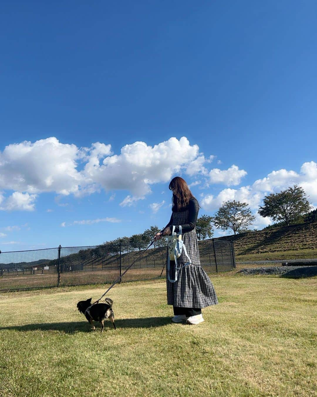 石森虹花さんのインスタグラム写真 - (石森虹花Instagram)「🐕🌞  ピノと実家のわんことダックスのタイガーくん🐶🤍 ドッグラン走ってるの気持ちよさそうで嬉しかった＾＾  #チワワ#ブラックタン#ロングコートチワワ#ダックスフンド#ドッグラン#愛犬家」10月26日 19時30分 - ishimori_nijika