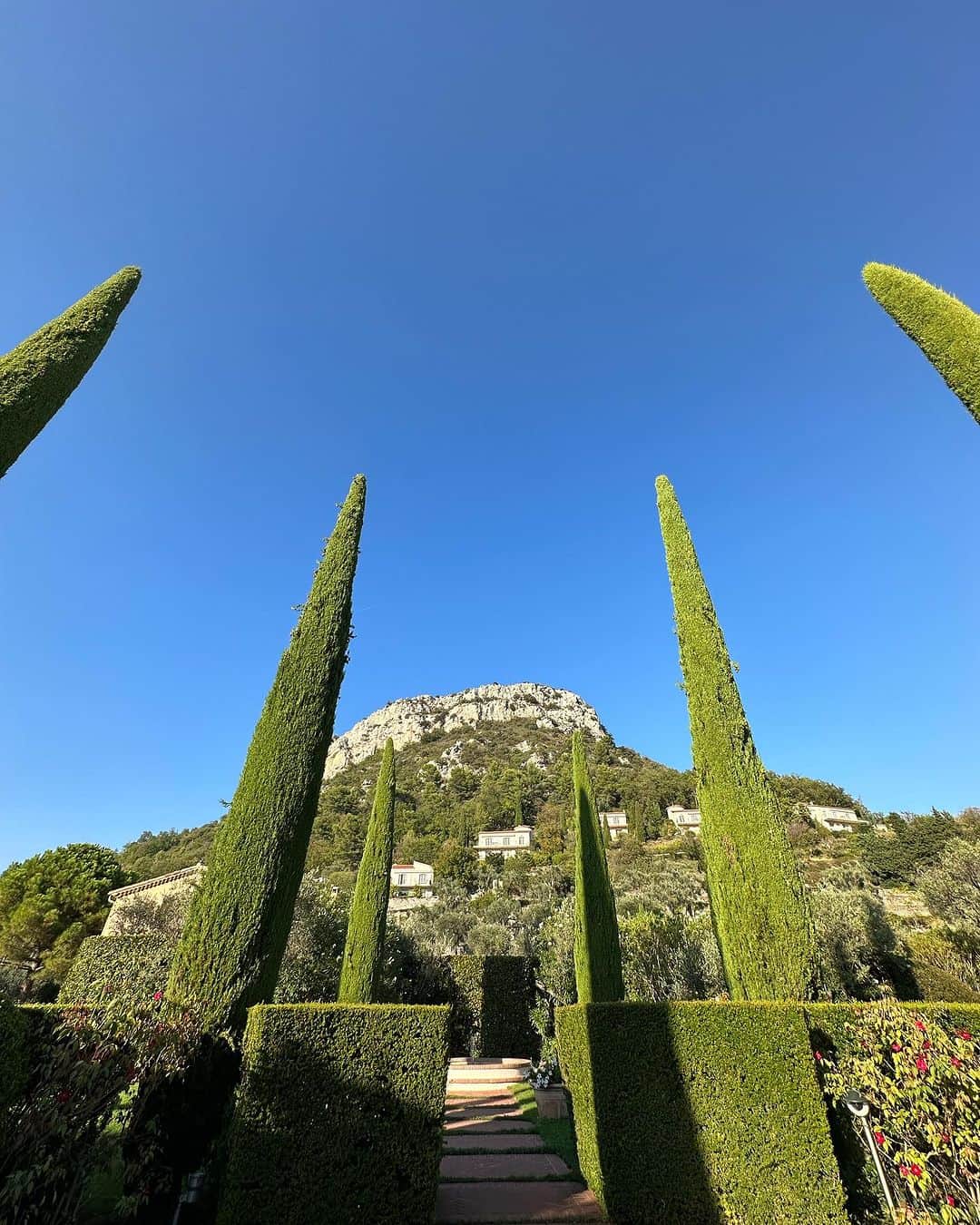 中塚翠涛さんのインスタグラム写真 - (中塚翠涛Instagram)「La vue d'ici est magnifique✨  マティスのロザリオ礼拝堂(La Chapelle du Rosaire)から車で五分ほど登った場所。  Googleマップをフル活用したおかげで、好みの風景に出逢えた。  予定もなく、ただただ深呼吸をした日。  #saintpauldevence  #南仏　#france  #vacation #vacances  #art #hotel #travel  #suitounakatsuka  #旅先書家  #旅の記憶」10月26日 10時48分 - suitou