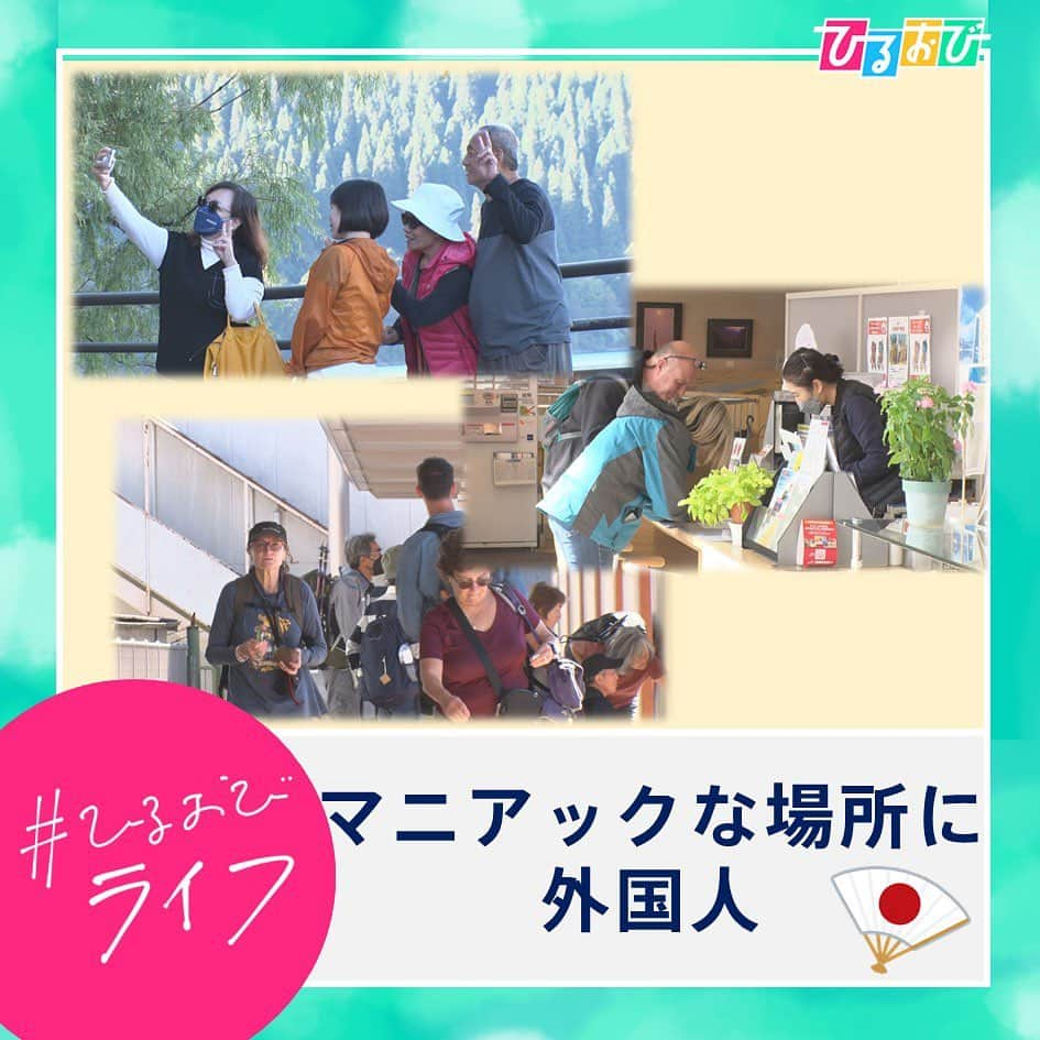 TBS「ひるおび！」のインスタグラム