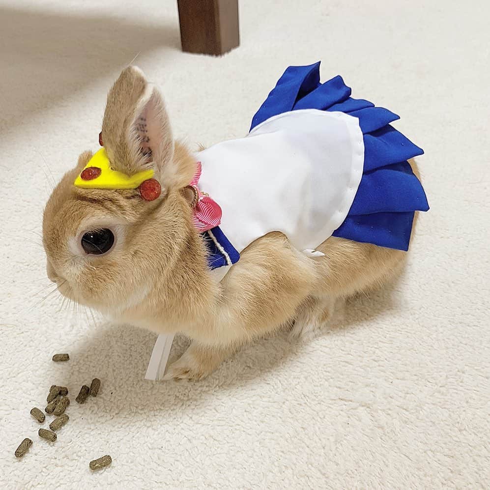 koume_chan__のインスタグラム