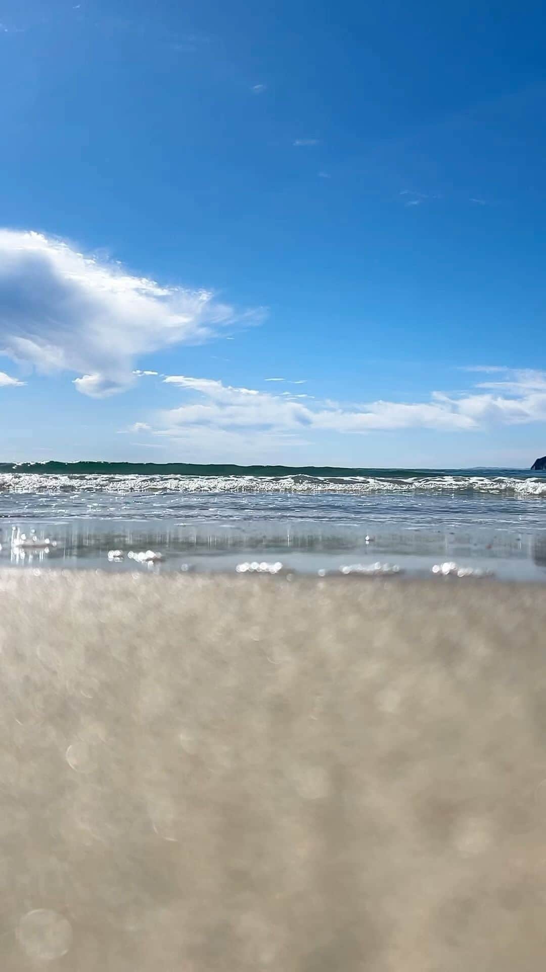 豊大槻のインスタグラム：「・ ・ 今日もいい天気 昼休みにビーチに来た ・ ・ 潮風最高だよ ・ ・ #海  #海岸  #ビーチ  #千葉  #風景  #自然  #写真  #写真好きな人と繋がりたい  #カメラマン  #映像クリエイター  #花が好き  #自然が好き  #海が好き  #癒し  #beach  #sea  #view  #oceanview  #healing  #photo  #tamron  #photography  #nature」