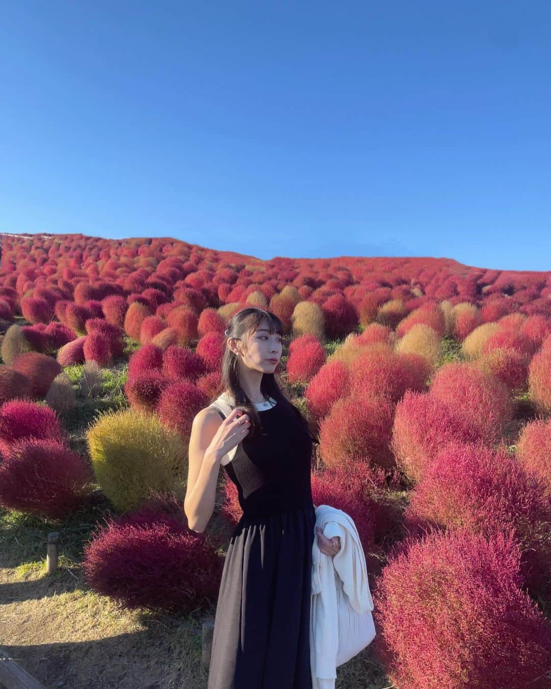 瀬名ひなのさんのインスタグラム写真 - (瀬名ひなのInstagram)「Kochia🍂  先週末、コキアを見に国営ひたち海浜公園へ🧸🤎 ちょうど見頃で綺麗だった☺️  ワンピースはSHEIN🔍 23053059 size M  めちゃくちゃ生地しっかりしてて着心地良くて愛用中！  ただいま11/11のビッグセール開催中𓂃◌𓂂   クーポンコード: BFPJP196 割引率：1～5,999円まで15%OFF、 6,000円以上は20%OFF 利用期限：〜1月30日  11/11 SHEIN BIG SALE "試すたび、好きが見つかる。届くたび、好きが増えてく。" 30万点以上のアイテムが限定値下げされてます🌟  @sheinofficial @shein_japan  #SHEIN1111sale#SHEINGoodFinds#SHEINforAll #loveshein #ad #saveinstyle #コキア #国営ひたち海浜公園 #茨城 #みはらしの丘 #ひたち海浜公園」10月26日 12時13分 - hinan0n