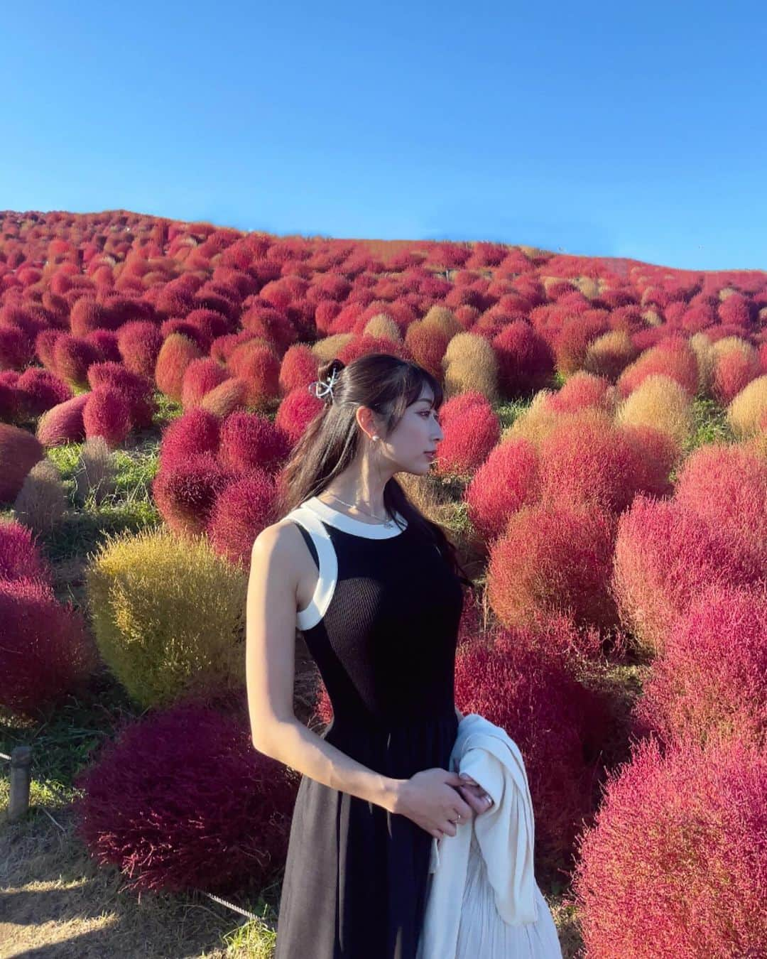 瀬名ひなののインスタグラム：「Kochia🍂  先週末、コキアを見に国営ひたち海浜公園へ🧸🤎 ちょうど見頃で綺麗だった☺️  ワンピースはSHEIN🔍 23053059 size M  めちゃくちゃ生地しっかりしてて着心地良くて愛用中！  ただいま11/11のビッグセール開催中𓂃◌𓂂   クーポンコード: BFPJP196 割引率：1～5,999円まで15%OFF、 6,000円以上は20%OFF 利用期限：〜1月30日  11/11 SHEIN BIG SALE "試すたび、好きが見つかる。届くたび、好きが増えてく。" 30万点以上のアイテムが限定値下げされてます🌟  @sheinofficial @shein_japan  #SHEIN1111sale#SHEINGoodFinds#SHEINforAll #loveshein #ad #saveinstyle #コキア #国営ひたち海浜公園 #茨城 #みはらしの丘 #ひたち海浜公園」