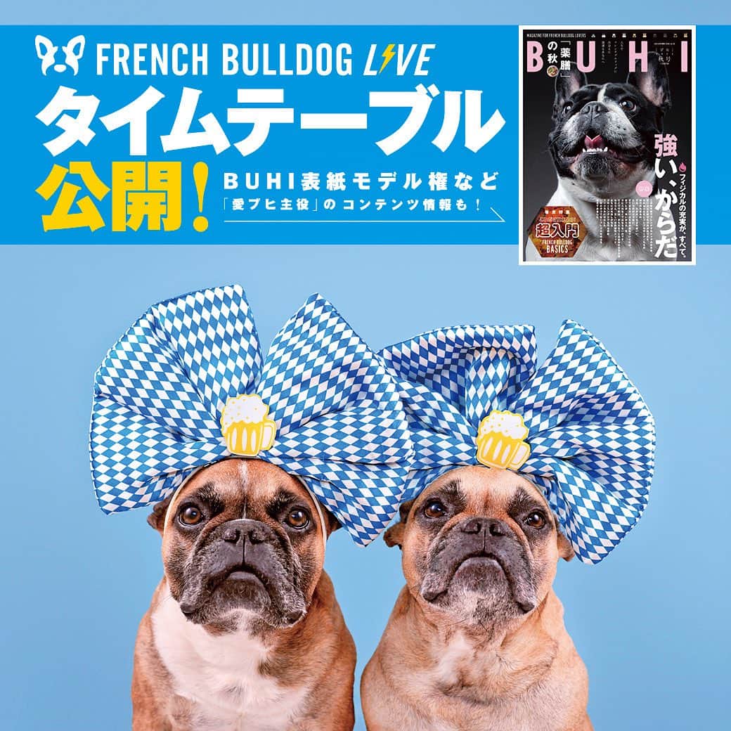 French Bulldog Lifeさんのインスタグラム写真 - (French Bulldog LifeInstagram)「【タイムテーブル公開！】BUHI表紙権、うちの子自慢、表彰式など。「愛ブヒ主役」のコンテンツ満載！  ついに「フレブルLIVE」のタイムテーブルを公開⚡️  さらに！  愛ブヒが主役になれるステージコンテンツや、大注目「BUHI表紙権」をかけた抽選会の情報もご紹介しています！  最後までチェックしないと、後悔しちゃうかも…!?  ★詳しくはフレブルライフをチェック プロフィールまたはストーリーズ、ハイライト（LIVE2023⚡️）からどうぞ @french.bulldog.life  #フレブルLIVE」10月26日 12時46分 - french.bulldog.life