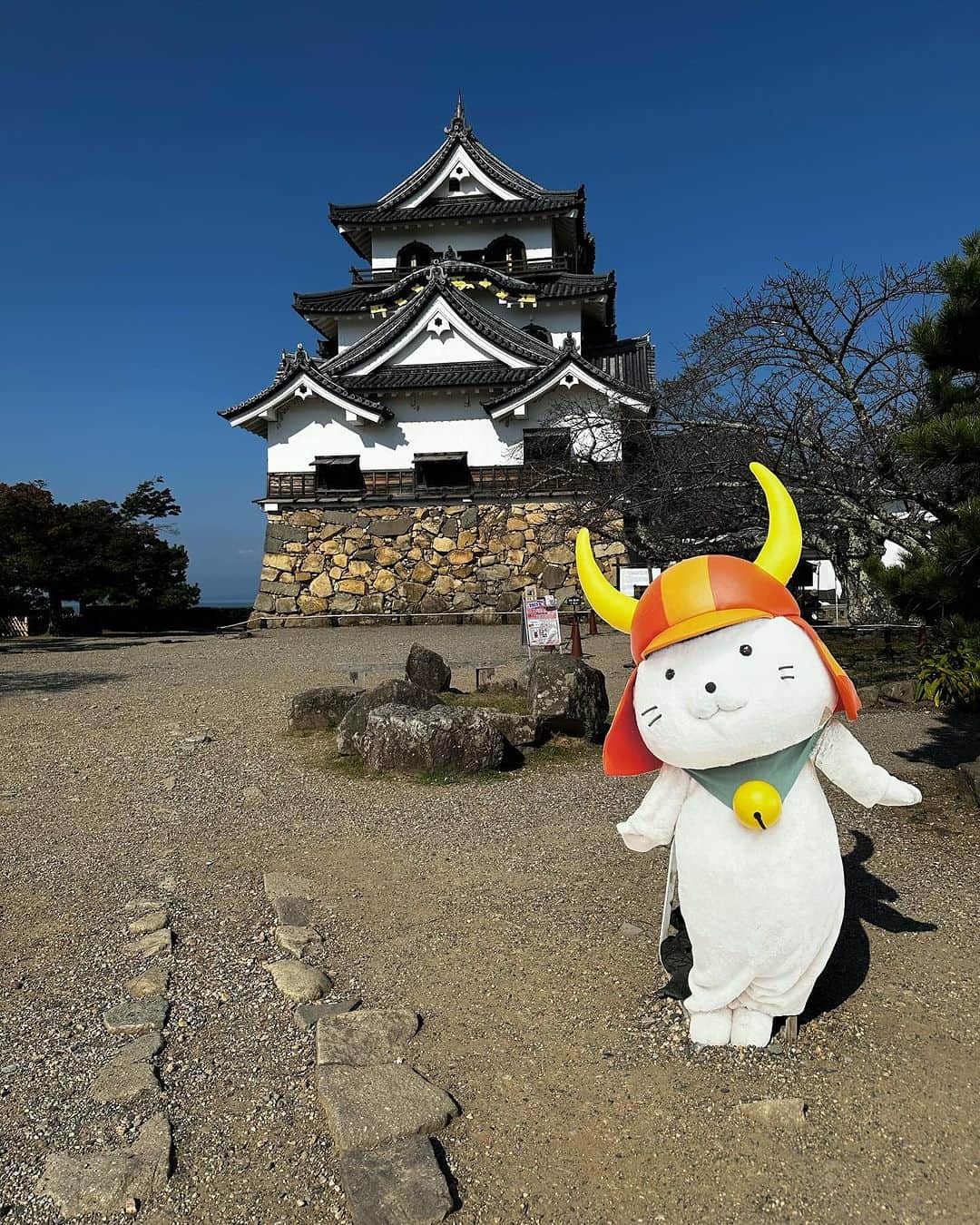 やのぱん（矢野ひろし）のインスタグラム：「滋賀県　彦根市に来てます♪  ひこにゃんのいる、彦根城は、 世界遺産登録を目指しているんですって！  天気、、、良すぎ！ １２月放送のロケですけど。。。」