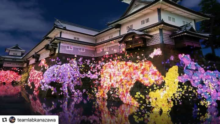 hotel nikko kanazawa ホテル日航金沢のインスタグラム：「// Movie ⁡┈┈┈┈┈┈┈┈┈┈┈┈┈┈┈  #Repost @teamlabkanazawa with @use.repost  ⁡┈┈┈┈┈┈┈┈┈┈┈┈┈┈┈ #teamlab #石川県 #金沢市 #金沢城」