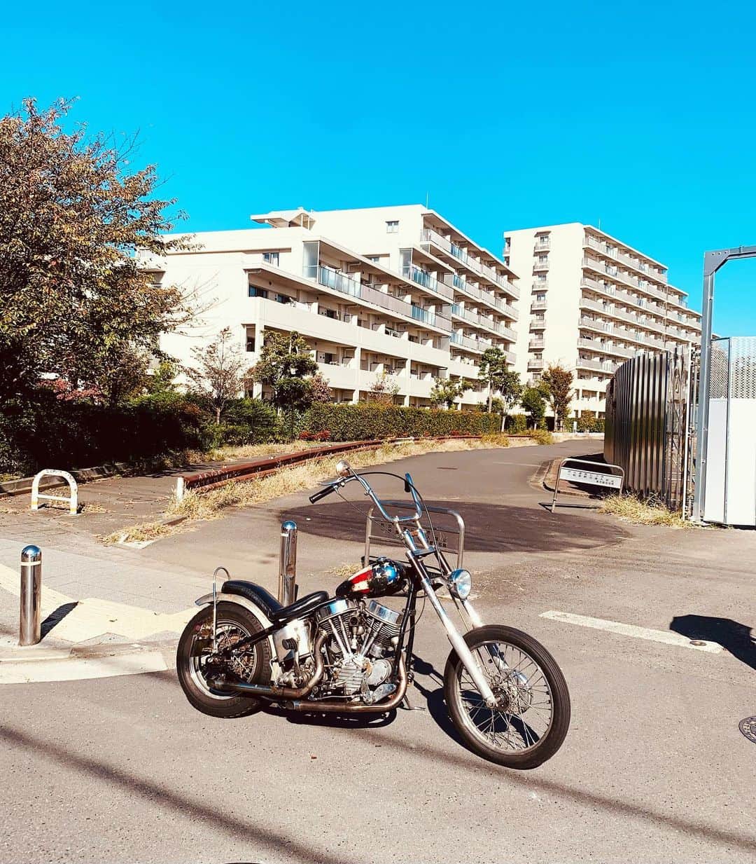 Curly Giraffeのインスタグラム：「Autumn weather.  #harleydavidson #chopper  #vintagechopper #chopperlife #49fl #panhead #panheadchopper #easyrider #peterfonda #dennishopper #captainbilly #hawgholic」