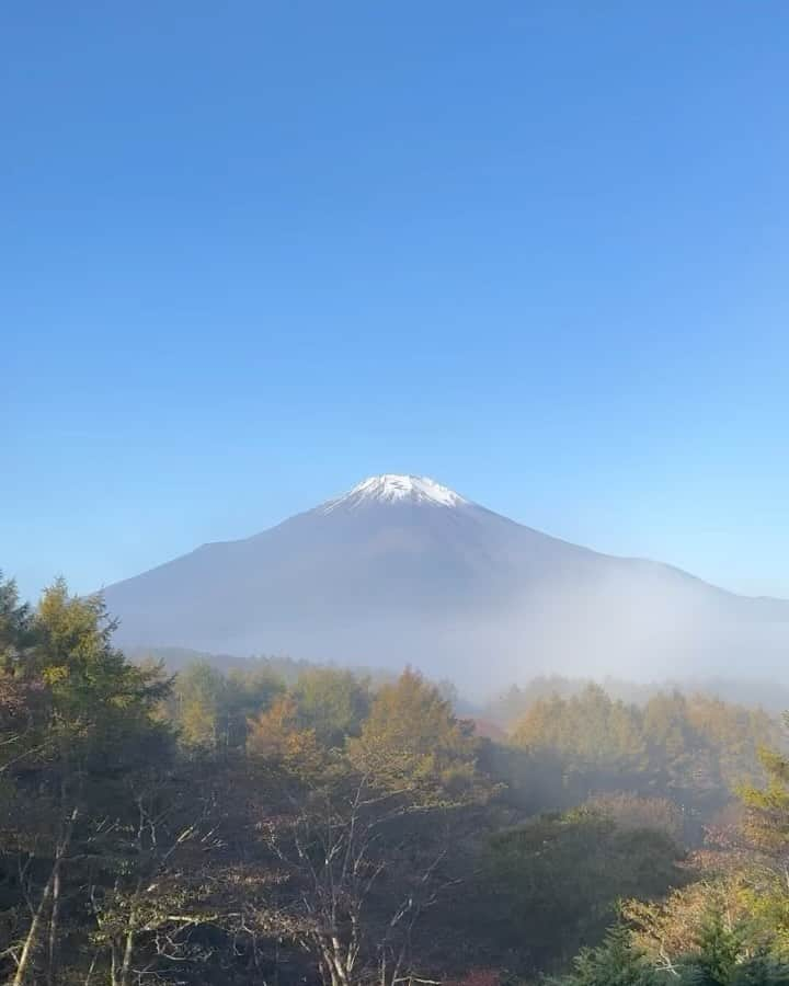 杉山愛のインスタグラム：「年1回の検診日☝️ 毎年10月になると自分自身の身体と向き合うために検診を受けると決めています😌  この景色が見えるお部屋に泊まり この景色が見えるお風呂に浸かり 自分の健康と向き合う トリート旅行みたいにしてます👜  皆さんも検診行ってますか？ もし時間が空いてしまっていたらぜひ😉  #検診 #年1イベント  #富士山 #富士山の見えるお部屋 #富士山の見える景色」