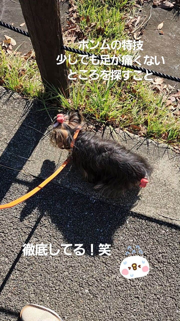 武東由美のインスタグラム