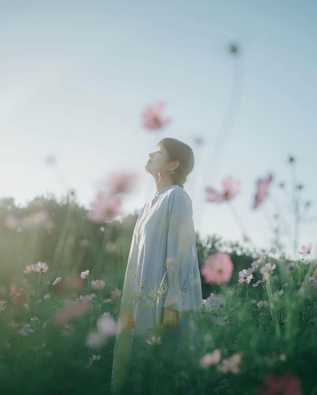 shinichi38さんのインスタグラム写真 - (shinichi38Instagram)「Sway in the autumn .:｡✿*ﾟ  Shot on Nikon Zf  NIKKOR Z 40mm f/2 (SE)  #nikon #zf  #NikonZf  #nikoncreators  #zcreators #nicostop」10月26日 19時45分 - shinichillout54