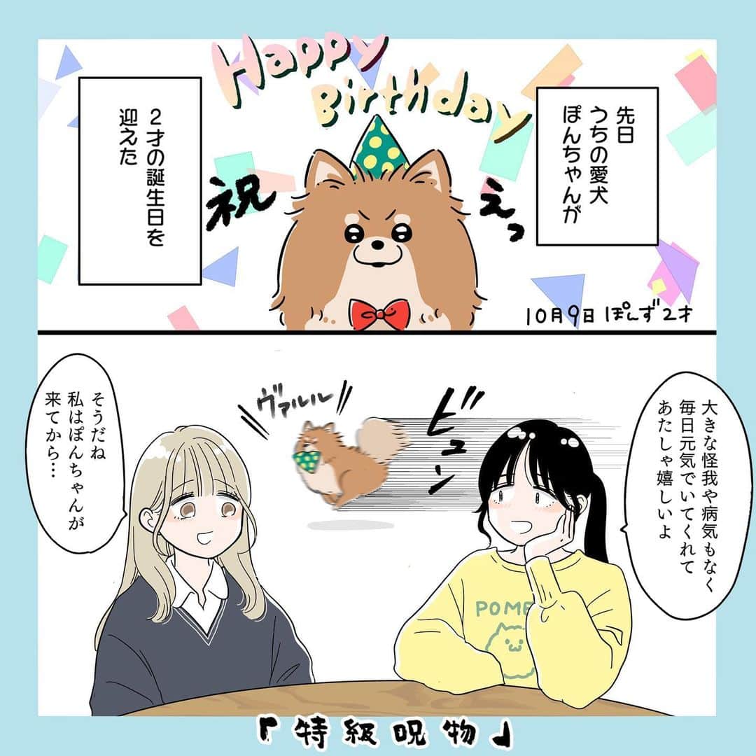 おかゆのインスタグラム：「宿儺の指と同じ扱い  #漫画 #マンガ #日常 #日常漫画 #エッセイ漫画 #コミックエッセイ #ポメラニアン #犬のいる生活  #犬マンガ　#犬のいる暮らし #母娘 #親子 #高校生 #家族 #特級呪物」