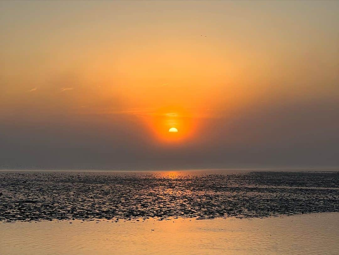 澤田愛美さんのインスタグラム写真 - (澤田愛美Instagram)「.  1枚目の写真は平内町・浅所海岸の朝日🌅  けさは白鳥が渡来しているこちらで 神秘的な景色を撮影してきました✨  そしてその後は 県内の紅葉スポットで取材を！ 深まる秋を堪能しました🍁  このあと午後6時15分〜の ハレのちあした県内ニュースで放送予定です。 ぜひご覧下さい☺️  .   #白鳥 #朝日 #早朝 #紅葉 #青森 #城ケ倉大橋 #酸ケ湯温泉 #青森朝日放送 #ハレのちあした #ニュース #取材 #報道 #アナウンサー」10月26日 16時43分 - amy____oxox