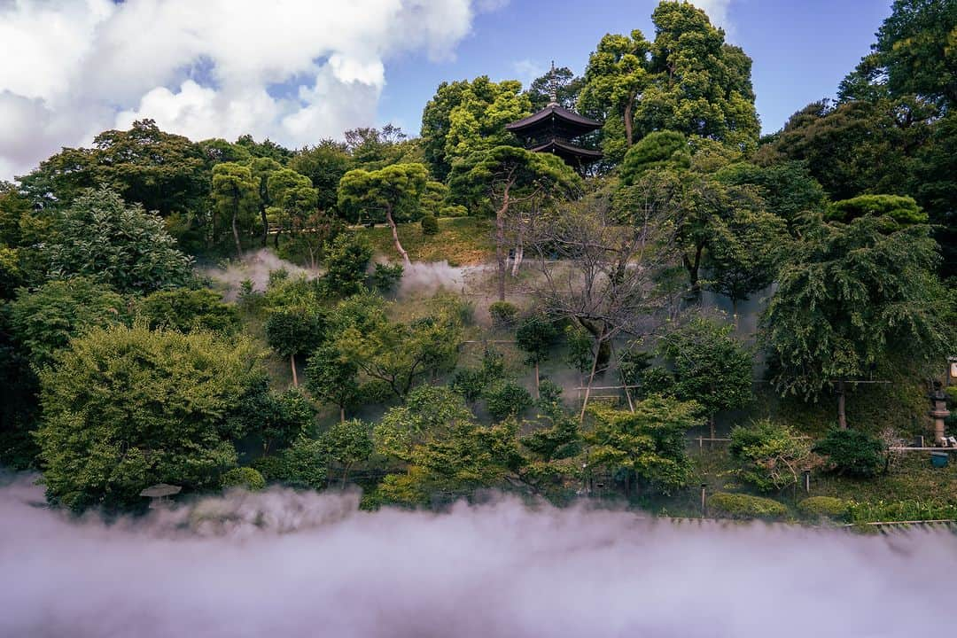 ホテル椿山荘東京さんのインスタグラム写真 - (ホテル椿山荘東京Instagram)「1日中雲の中☁ 東京雲海は朝から夜までどの時間帯でもご体験いただくことができます。 時間により違った景色をみせてくれる雲海をどうぞお楽しみください！  Clouds all through the day☁️ The Tokyo Sea of Clouds appears at times all through the day, from morning to night. You can look forward to different scenery at various times of the day!  📷Thank you!! @andrea_travelphotography   #hotelintheclouds #tokyoseaofclouds #seaofclouds #tokyoview  #東京雲海 #雲海 #雲の中のホテル #絶景 #絶景ホテル」10月26日 17時00分 - hotelchinzansotokyo_official