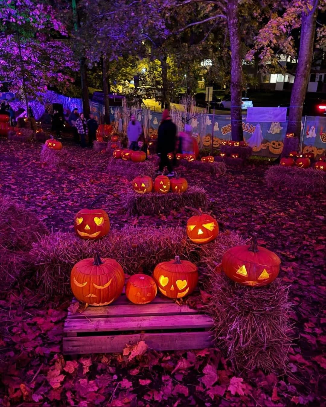 のインスタグラム：「フィンランド各地で楽しいハロウィンイベント満載です。 🍂🎃👻  年齢を問わずに誰もが楽しめるハロウィンイベントやアクティビティ。その一部をご紹介します。  ムスティオ・マナー（Mustio Manor）のハロウィン フィンランド南部にある有名なお城で開催される、楽しくておいしい、そして不気味なハロウィン。 📅 2023年11月4日 📍 場所: Mustio, Raseborg (Raasepori)  プオティラ・マナー（Puotila Manor）のハロウィン 公園でハロウィンをテーマにしたアクティビティを楽しんだり、ハロウィンのアクセサリーを買ったりできる家族で楽しめるイベント。ヘルシンキの地下鉄プオティラ（Puotila）駅から歩いて行けます。事前にチケットの購入を。 📅 2023年11月4日 📍 場所: Puotila, Helsinki  アーティストの村フィスカルスでは、昔のナイフ工場でカボチャのランタン作りが体験できます。カボチャは持ち込むか、現地で購入することができます。 📅 2023年10月26日 📍 Fiskars, Raseborg (Raasepori) エケナス（Ekenäs）カボチャ狩り大会  バーサトリイェット（Basatorget）から旧市街広場まで、アドベンチャーが楽しめます。 迷子のカボチャを探すのがタスクです。賞品もあります。ドレスアップして参加しても楽しいですよね。 📅 2023年10月27日 📍 場所: Ekenäs (Tammisaari), Raseborg (Raasepori)  夜のミュージアム 月明かりの下でフィスカルス・ミュージアムが楽しめます。5:00 PM～9:00 PM、夜のミュージアムの入場料は無料です。 📅 2023年10月28日 📍 場所: Fiskars, Raseborg (Raasepori)  ラーセボリ（Raseborg）城のお化け ラーセボリ城で不気味なお化けDaniel Scribeと一緒にお城を探索。他のお化けに遭遇するかもしれません。お城のオープン時間は10:00 AM～5:00 PM. 📅  2023年10月28日 📍 場所: Raseborg (Raasepori)  フィスカルス（Fiskars）ナイフ工場のハロウィン・ディスコ DJ TIXAが創り出すしびれるビートのスリル満点のハロウィンパーティー。創意工夫をこらしたコスチュームが期待できそうです。 📅 2023年10月28日 📍 場所: Fiskars, Raseborg (Raasepori)  📸プオティラ（Puotila）の カボチャイベント by @isyyspakkaus, Fiskars Villageの川沿いの素晴らしい風景 @niko.laurila  Thank you for the photos!  #visitfinland #ourfinland #visitfinlandjp #finland #北欧旅行 #travelgram #フィンランド #フィンランド政府観光局 #北欧 #travel #instatravel #travel #travelgram #travelling #traveler #旅したくなるフォト #旅行 #旅 #海外旅行 #travelphotography #旅行大好き #旅行好き #旅スタグラム #旅好き #ヨーロッパ旅行 #旅に出たい #トラベル #VisitFiskars #VisitRaseborg #ハロウィン ＃#ハロウィーン」