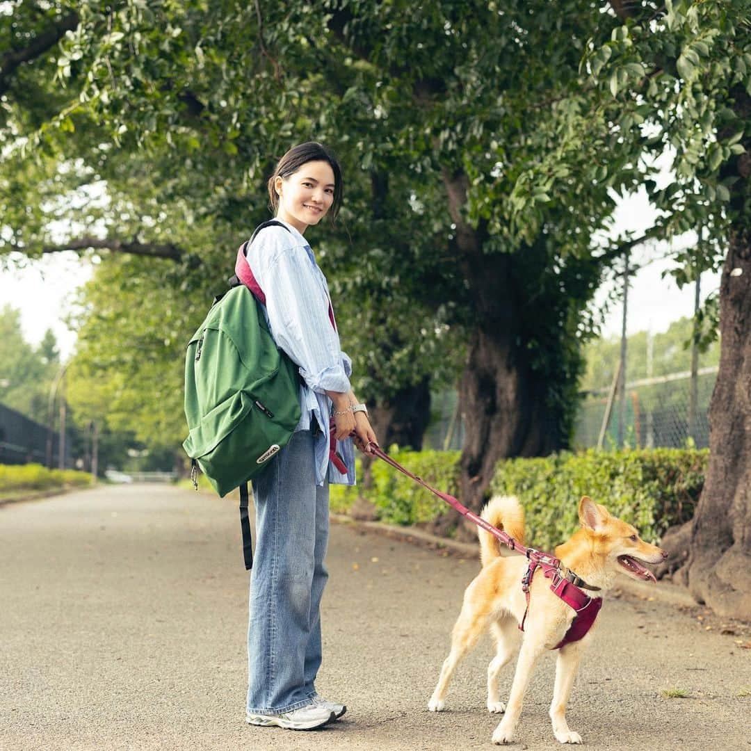 Outdoor Productsのインスタグラム：「. ”One Day Playing with Doggo” アウトドアプロダクツと愛犬と、どこへ行こう？ 愛犬と出かけるときは持ち物がたくさん必要。お水におやつ、プリッとしちゃったときのエチケット袋だったり。それに家から一歩でも外に出たら、好奇心をくすぐるものばかりだから、あっちへ言ったり、こっちへ言ったり、リードをギュッと持ってなくちゃいけない。そんなときに役立つのが〈アウトドアプロダクツ〉のバックパックとロールボストン。大好きなおもちゃと、収まりきらない愛情もパッキングして、今日はどこへ行こう？  ー風間 エイリさんー ファッション誌や広告など多岐にわたり活躍するモデル。その傍らで植物の師匠でもあるプランツコーディネーターの中鉢翔太氏のアシスタントをしながら、グリーンスタイリストとしても活動中。インスタグラムでは集めた植物を更新したり、自身の活動も配信中。最近は生活の中心が愛犬のステラ（2歳♀）に。 Instagram：@eirikazama  【Item】 Model / Daypack Large Price /¥8,580 (tax in) Color / Pineneedle   続きはTOPのブランド公式サイトFEATURESからCHECK!! https://www.outdoorproducts.jp/features/dog-snap/  #OUTDOORPRODUCTS #PACKFORLIFE #Shoulderbag #CORDURANYLON #Basic #Standard #Bostonbag  #daypack #LARGE #452T #PINEEDLE  #アウトドアプロダクツ #デイパック #バックパック」