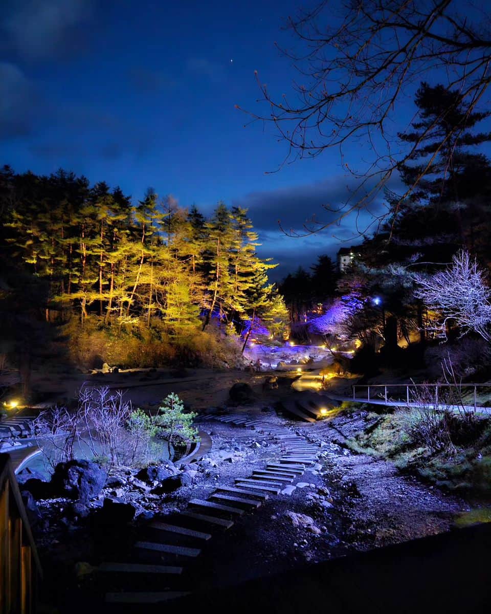 Galaxy Mobile Japanのインスタグラム：「光に照らされた樹木が魅力的な一枚✨ Galaxy の高画質カメラなら、暗い夜でも色彩豊かに幻想的な瞬間を撮影できます📸  本投稿では Galaxy Best Shot コンテストの受賞作品をご紹介。 皆さまも #withGalaxy で投稿してみてください💛  ステキなお写真をお待ちしております😊  #Galaxyのある生活 #Galaxy #Galaxy好き #誰かに見せたい風景 #写真好きな人と繋がりたい #キリトリセカイ #写真で伝えたい私の世界 #カメラ越しの私の世界 #スマホ #スマホカメラ #スマホ写真」