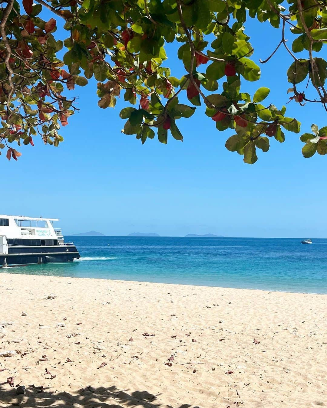 小西陽向さんのインスタグラム写真 - (小西陽向Instagram)「世界遺産フランクランドアイランド🏝️ 無人島に行って一日のんびりしてきた🐠  海が綺麗すぎて、3匹のウミガメさんにも出逢えた🐢🩵 ココナッツが発芽してたり🥥😳自然のエネルギーがたくさんチャージできた一日🦋 . . . #フランクランドアイランド　#franklandislands #franklandriver #franklandisland #Cairns #ケアンズ旅行 #グレートバリアリーフ #greatbarrierreef #無人島　#海　#スキューバダイビング #ダイビング女子 #シュノーケリング」10月26日 17時40分 - hinata713