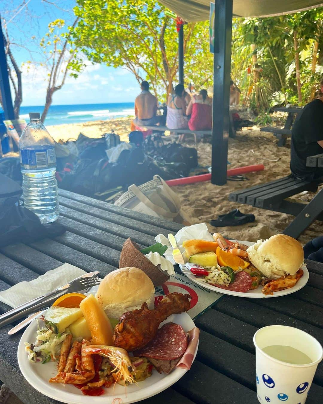 小西陽向さんのインスタグラム写真 - (小西陽向Instagram)「世界遺産フランクランドアイランド🏝️ 無人島に行って一日のんびりしてきた🐠  海が綺麗すぎて、3匹のウミガメさんにも出逢えた🐢🩵 ココナッツが発芽してたり🥥😳自然のエネルギーがたくさんチャージできた一日🦋 . . . #フランクランドアイランド　#franklandislands #franklandriver #franklandisland #Cairns #ケアンズ旅行 #グレートバリアリーフ #greatbarrierreef #無人島　#海　#スキューバダイビング #ダイビング女子 #シュノーケリング」10月26日 17時40分 - hinata713