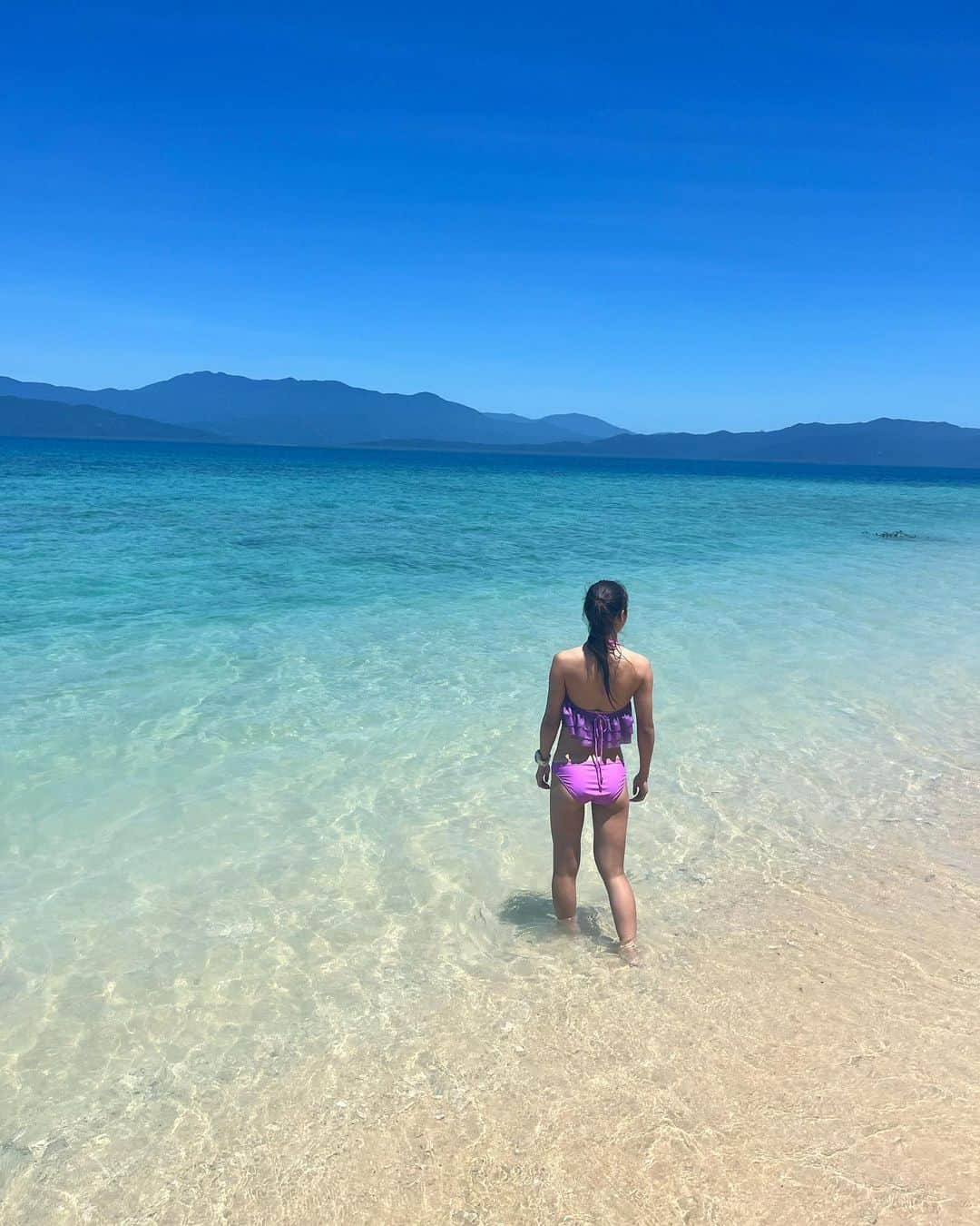 小西陽向のインスタグラム：「世界遺産フランクランドアイランド🏝️ 無人島に行って一日のんびりしてきた🐠  海が綺麗すぎて、3匹のウミガメさんにも出逢えた🐢🩵 ココナッツが発芽してたり🥥😳自然のエネルギーがたくさんチャージできた一日🦋 . . . #フランクランドアイランド　#franklandislands #franklandriver #franklandisland #Cairns #ケアンズ旅行 #グレートバリアリーフ #greatbarrierreef #無人島　#海　#スキューバダイビング #ダイビング女子 #シュノーケリング」