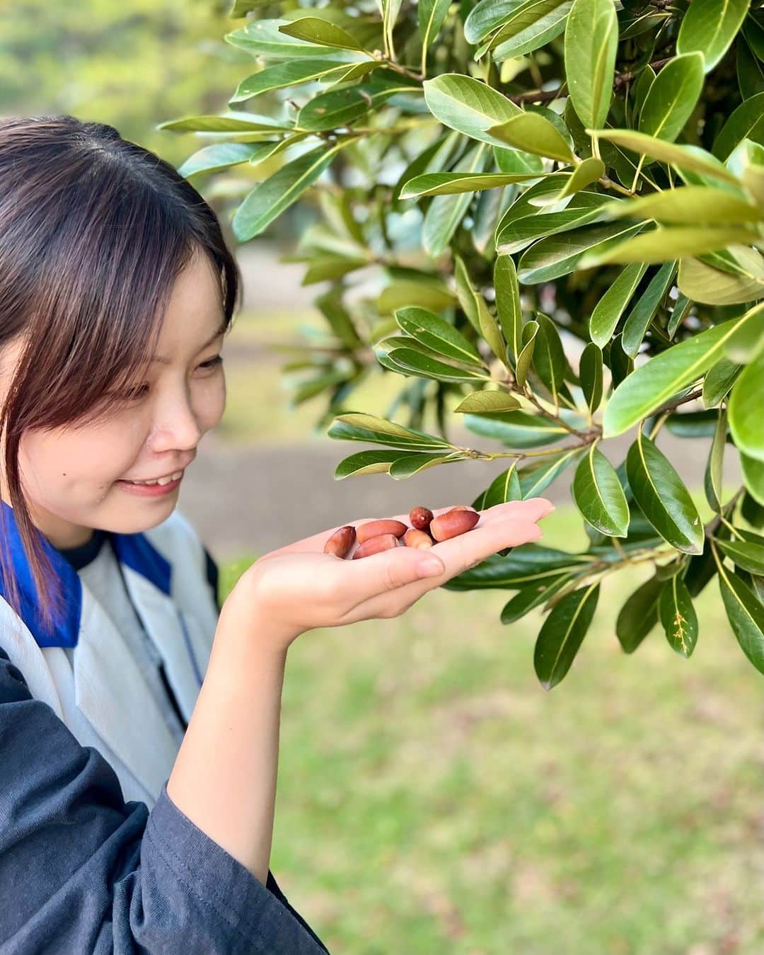Miraikan, 日本科学未来館さんのインスタグラム写真 - (Miraikan, 日本科学未来館Instagram)「【ドングリ観察してみました】 ドングリといっても日本国内だけでも20種類以上あるそう。「みどりの科学コミュニケーター」の青木と一緒に未来館周辺を散策していると、3種類のドングリを見つけることができました👀  よくみるとドングリの実や帽子、葉っぱの形などが違い、それぞれとてもかわいいです🍂  みなさんのまわりには、どんな形のドングリがありますか？  #miraikan #未来館 #日本科学未来館 #科学館 #東京テレポート #お台場 #ミュージアム #博物館巡り #博物館 #sciencemuseum #museum #tokyo #odaiba #odaibatokyo #TokyoMuseum #紅葉 #植物観察  #ドングリ #どんぐり」10月26日 17時58分 - miraikan