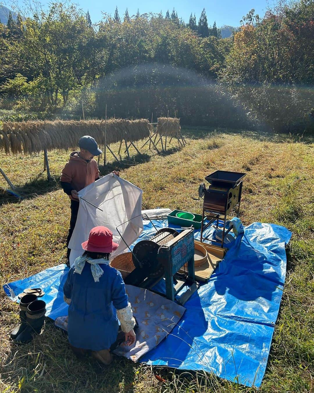 parisaさんのインスタグラム写真 - (parisaInstagram)「“自然農” - Natural farming 🌱  今回、秋田県仙北市の”豆太さん”という 自然農を軸に生活している農家さんの元へ 研修しに来ています👩‍🎓  自然農とは、土を耕さない、肥料を持ち込まない、 草や虫を敵にしない、水を撒かない。 という、すべて自然のエネルギーを使って生きる事です 自然農＝「生命の楽園」　とも言われています 自然＝自ずから然らしむる✨  The reason why I came to Semboku, Akita is that to learn about farming (natural farming) and sustainable life. Ppl in Akita have water from the mountains, they farm their own herbs, vegetables, beans and rice… we (city ppls) are usually in the place where we buy all the stuff from some companies or someone that we don’t really know. I find it so much beauty in this sustainable life style. It’s one of the reason why I wanted to come here and see it from my own eyes and experience.  One day I can be these grandpa and grandmas ❤️❤️」10月26日 17時54分 - parisakanno