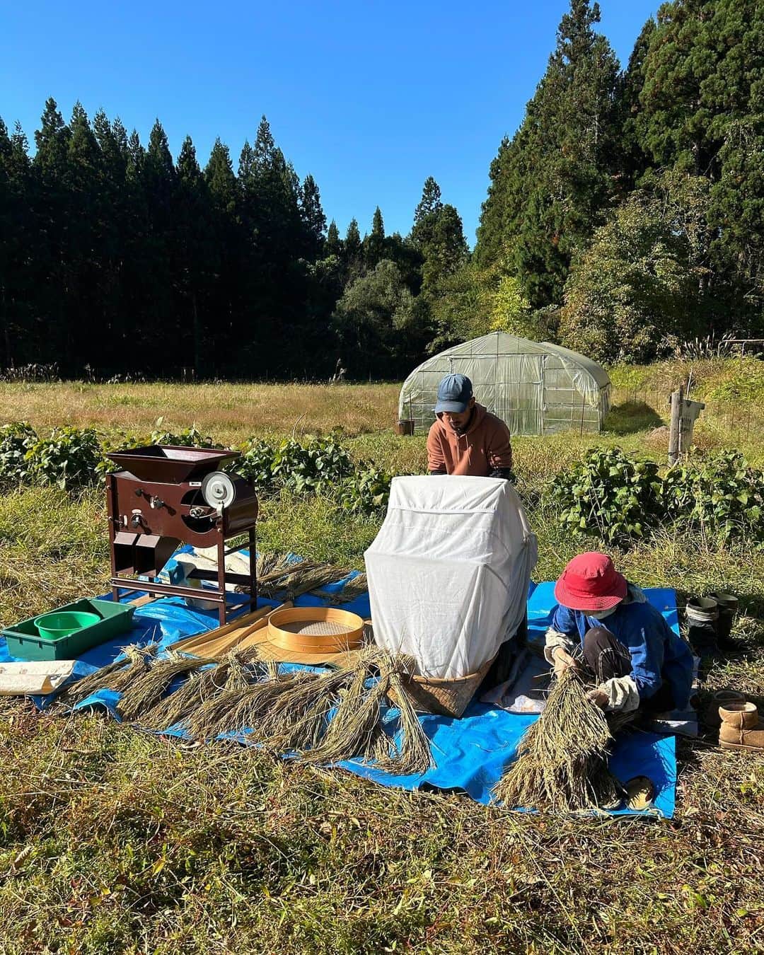 parisaさんのインスタグラム写真 - (parisaInstagram)「“自然農” - Natural farming 🌱  今回、秋田県仙北市の”豆太さん”という 自然農を軸に生活している農家さんの元へ 研修しに来ています👩‍🎓  自然農とは、土を耕さない、肥料を持ち込まない、 草や虫を敵にしない、水を撒かない。 という、すべて自然のエネルギーを使って生きる事です 自然農＝「生命の楽園」　とも言われています 自然＝自ずから然らしむる✨  The reason why I came to Semboku, Akita is that to learn about farming (natural farming) and sustainable life. Ppl in Akita have water from the mountains, they farm their own herbs, vegetables, beans and rice… we (city ppls) are usually in the place where we buy all the stuff from some companies or someone that we don’t really know. I find it so much beauty in this sustainable life style. It’s one of the reason why I wanted to come here and see it from my own eyes and experience.  One day I can be these grandpa and grandmas ❤️❤️」10月26日 17時54分 - parisakanno