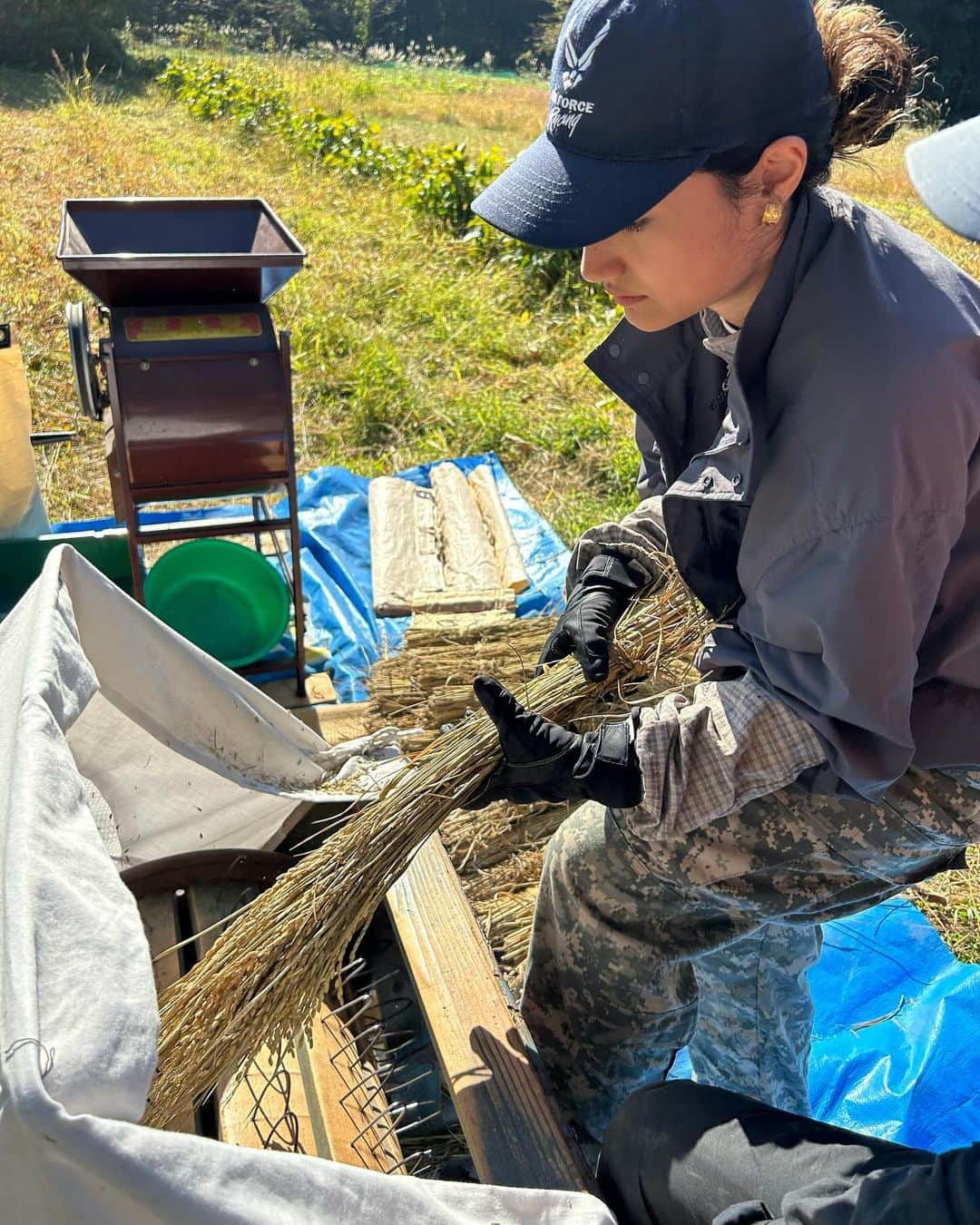 parisaのインスタグラム：「“自然農” - Natural farming 🌱  今回、秋田県仙北市の”豆太さん”という 自然農を軸に生活している農家さんの元へ 研修しに来ています👩‍🎓  自然農とは、土を耕さない、肥料を持ち込まない、 草や虫を敵にしない、水を撒かない。 という、すべて自然のエネルギーを使って生きる事です 自然農＝「生命の楽園」　とも言われています 自然＝自ずから然らしむる✨  The reason why I came to Semboku, Akita is that to learn about farming (natural farming) and sustainable life. Ppl in Akita have water from the mountains, they farm their own herbs, vegetables, beans and rice… we (city ppls) are usually in the place where we buy all the stuff from some companies or someone that we don’t really know. I find it so much beauty in this sustainable life style. It’s one of the reason why I wanted to come here and see it from my own eyes and experience.  One day I can be these grandpa and grandmas ❤️❤️」