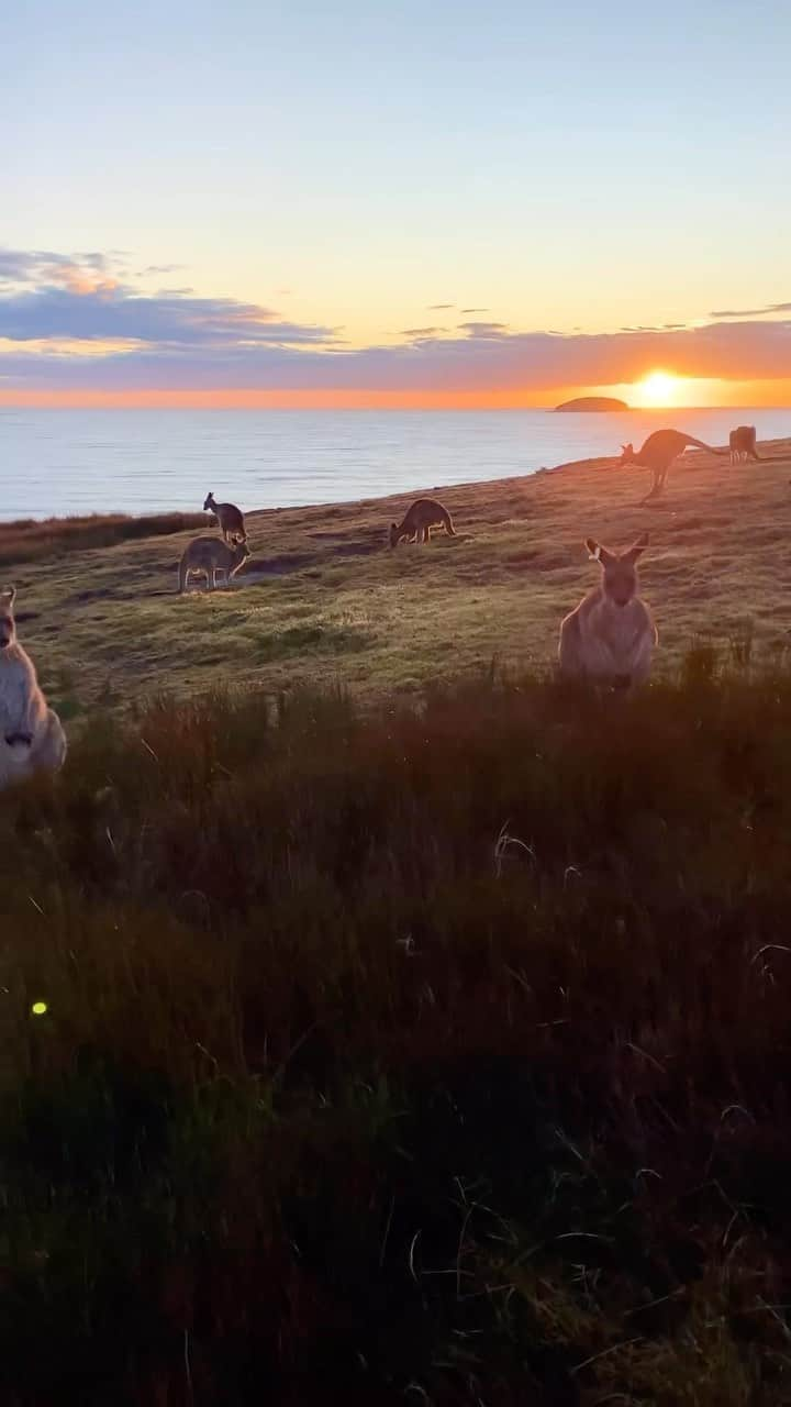 Australiaのインスタグラム