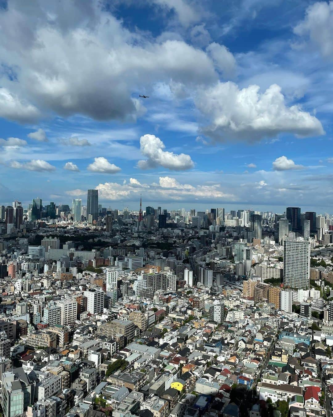 ロングレインさんのインスタグラム写真 - (ロングレインInstagram)「39階からの眺めは、東京タワーやレインボーブリッジなど東京の景色を一望できます。窓際の席のご予約を是非お待ちしております！ #longrain #longraintokyo #thaifood #ロングレイン #タイ料理 #アジアン料理 #アジアンフード #タイレストラン #カオヤム #パッタイ #恵比寿 #恵比寿ガーデンプレイス #東京 #東京グルメ #恵比寿ランチ #恵比寿ディナー #夜景レストラン #夜景ディナー #夜景デート #夜景スポット #東京タワー #東京タワーが見える店 #東京タワー夜景 #東京タワー🗼 #tokyorestaurant #tokyo #ebisu #ebisugardenplace #nightview #tokyotower」10月26日 18時00分 - longraintokyo