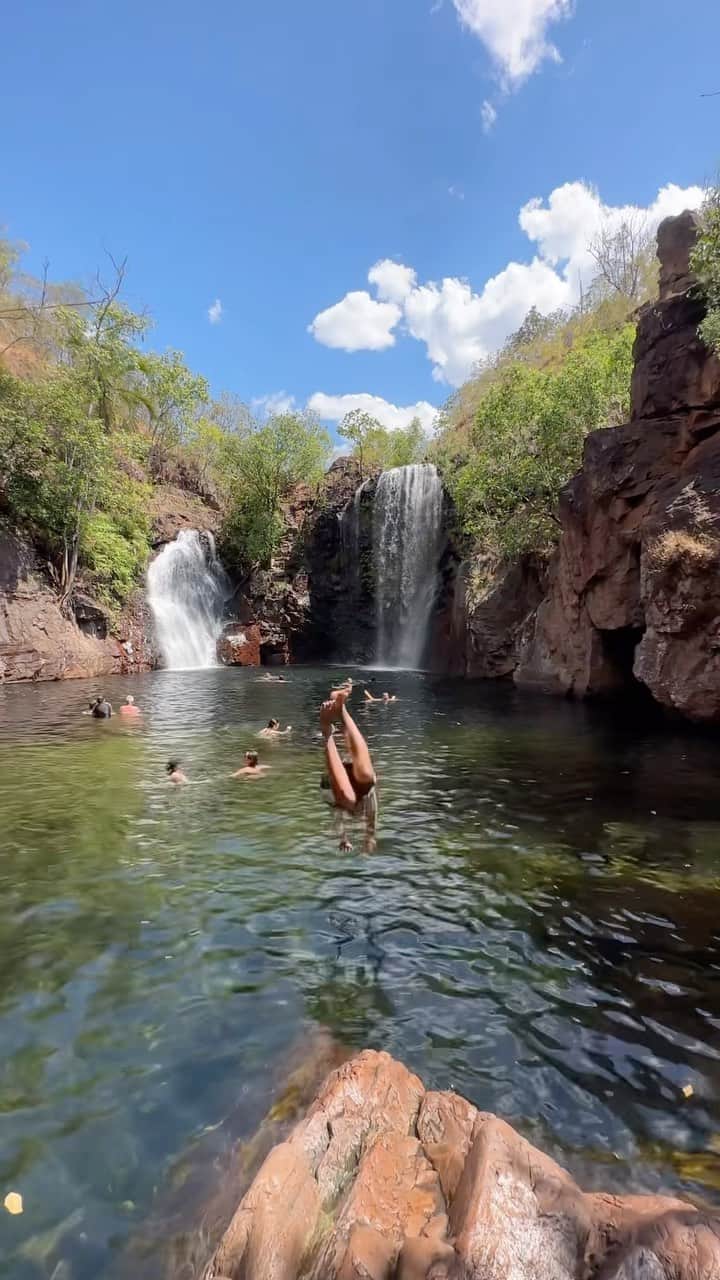 Australiaのインスタグラム：「@ntaustralia’s waterfall game is truly unmatched 😍 According to @lukelambley, a dip in #FlorenceFalls just hits different - and we couldn’t agree more! This natural pool of ultra-clear water beneath twin cascades is set within the epic expanse of @litchfieldnationalpark, rich with stunning natural sites just like this ☝️ Spend your days waterhole-hopping and glamp among the wilderness at @litchfieldsafaricamp, or soar over the national park from Gulumerrdgen (#Darwin) with @nautilusaviation or @airborne.solutions 🚁   🎥: @lukelambley   📍: #FlorenceFalls, @litchfieldnationalpark, @ntaustralia - home to the Werat, Koonurrkun, Waray, Mak Mak, Marranunggu peoples.   #SeeAustralia #ComeAndSayGday #GetLostInLitchy #NTAustralia #TourismTopEnd  ID: Video opens with an aerial view over the twin cascades and surrounding greenery of Florence Falls, then cuts to a person diving into the natural pool below, followed by underwater vision of a man swimming in crystal clear water.」