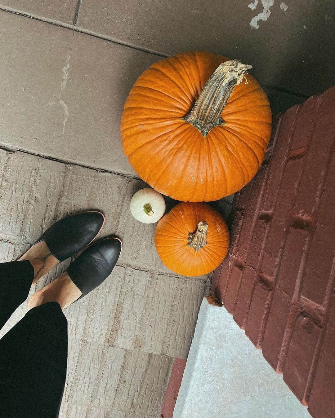 ソルドスさんのインスタグラム写真 - (ソルドスInstagram)「Your pumpkin patch partner is waiting 🖤 The Venetian Mule made with buttery leather and an open heel to bask in the sunshine.  📸: @nicole_moore17  . . . . .  #shoes #comfortable #soludossummer #fashionfootwear #shoelove #shoesoftheday #sneakergram #fallshoes #fallfashion2023 #sneakers #ootd」10月27日 4時30分 - soludos