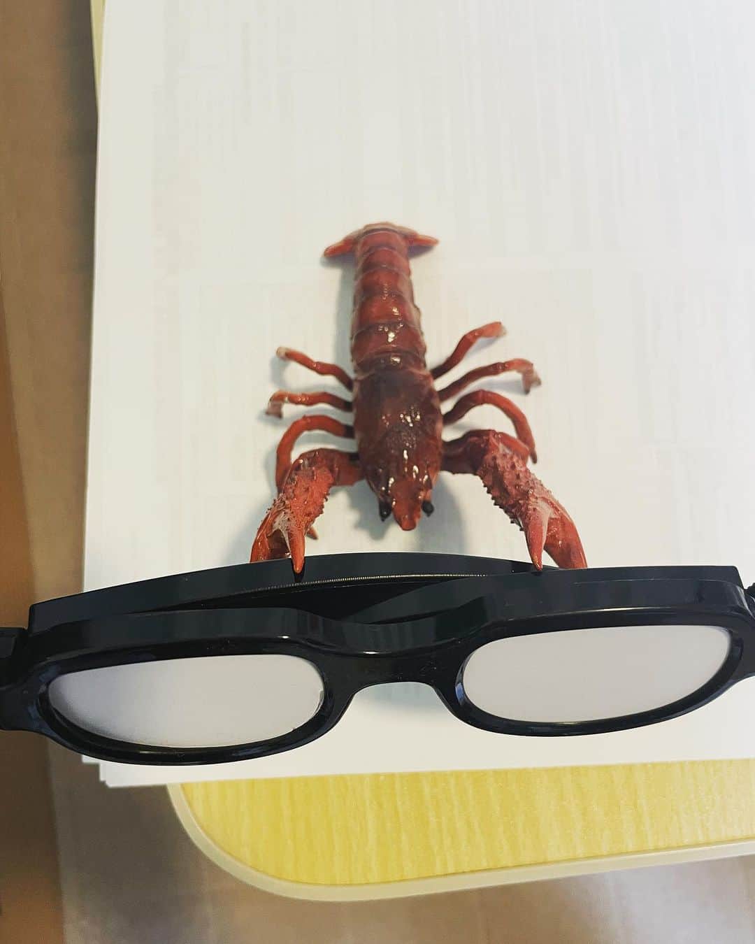 セルライトスパ大須賀さんのインスタグラム写真 - (セルライトスパ大須賀Instagram)「何年か前にやすともさんのどこいこ！っで買ったザリガニ型メガネ置きに碇ゲンドウの発光メガネを置きました。  少し部屋が明るくなった気がします。  さて、大須賀のキッチンカーまたまた出店が決まりました。  【11月3日MBSラジオ秋まつり＠長居公園自由広場】  にて！ 人類みな麺類さんとのコラボラーメン【原点トメェト】 を販売します。  本当に美味し過ぎて逆にスベると思いますが是非。  詳細はまた近くなったら。  いいねちょうだい！」10月26日 20時09分 - spa_osuka