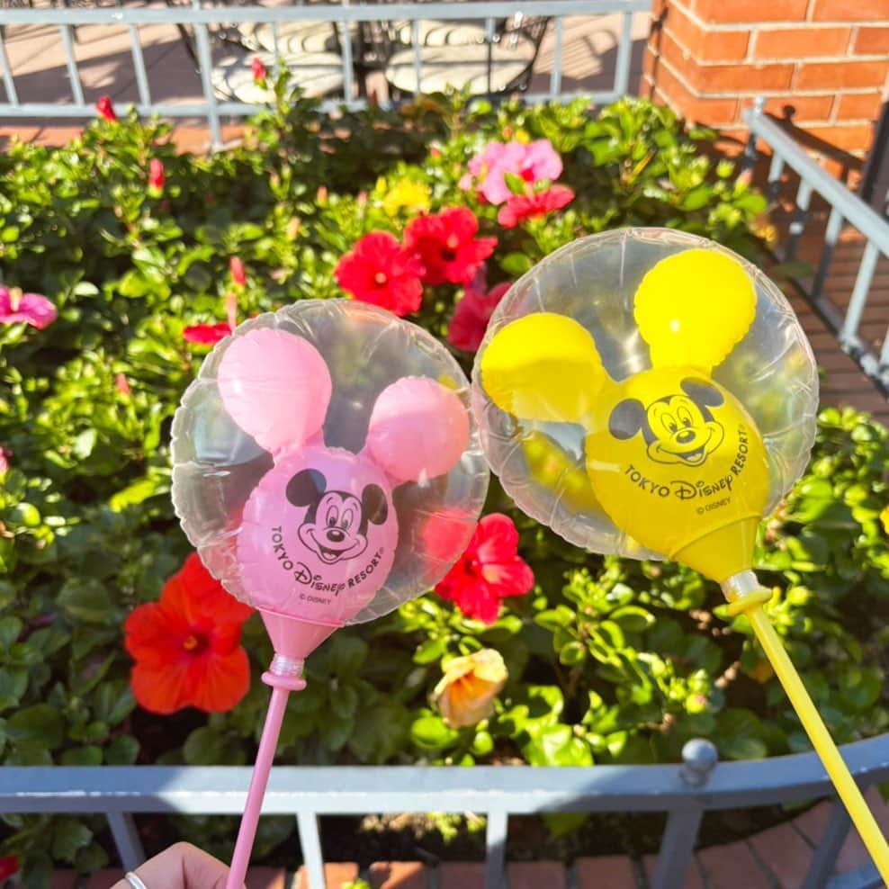 のインスタグラム：「🎈♡ . . . Disney 秋でもハイビスカス咲いてた~🥰」