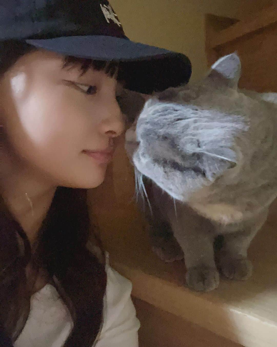 里仲菜月さんのインスタグラム写真 - (里仲菜月Instagram)「実家の猫ちゃん(≡^.^≡)」10月26日 20時08分 - natsuki_satonaka