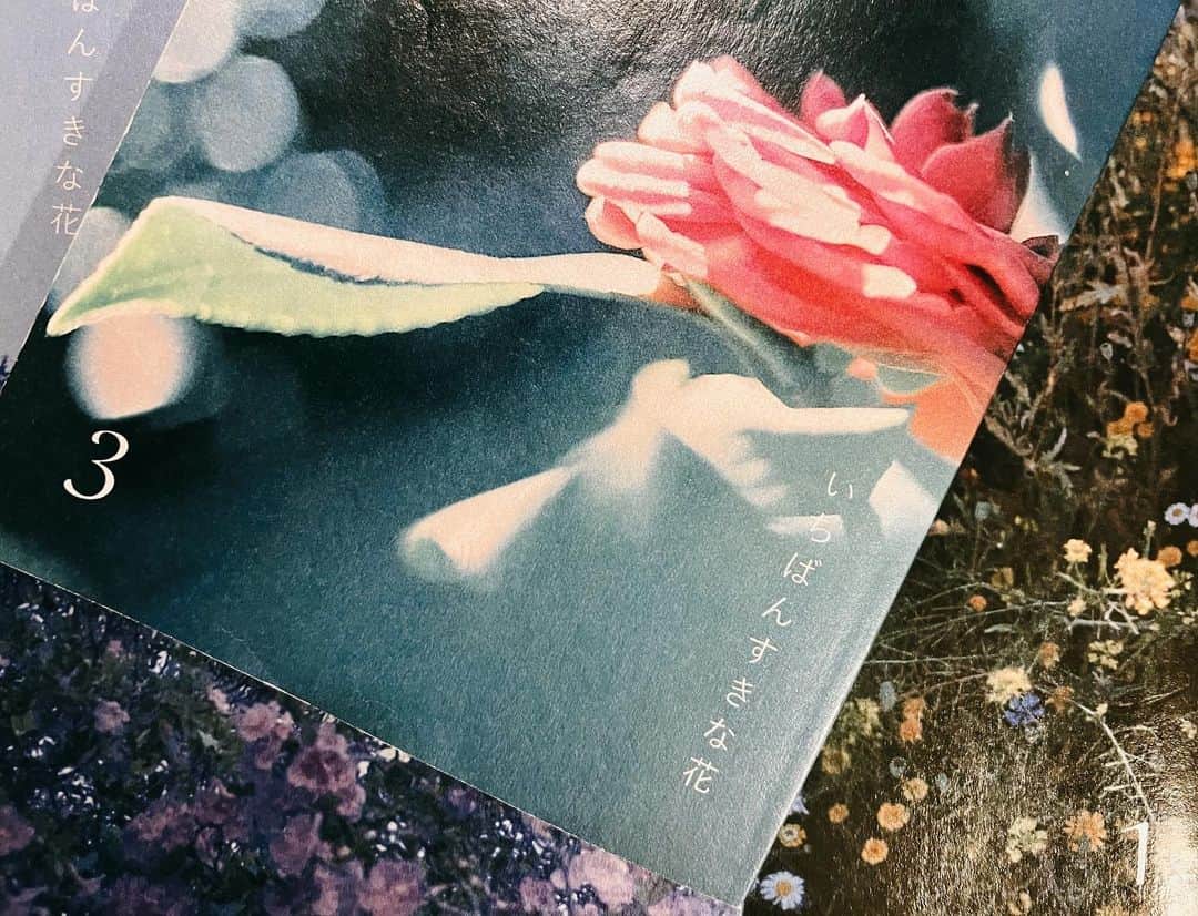 のインスタグラム：「『いちばんすきな花』今夜は第3話。 3話の表紙は、椿。☺︎ 台本に載ってる花の写真は全て写真家の市橋織江さんが撮って下さったフィルムカメラの写真😭 どれも本当に綺麗で、毎回台本貰うのが楽しみです！ 市橋さんはこのドラマの撮影もして下さっています。ストーリーと合わせて、美しい映像も是非楽しんでください☺︎  おかしくて、愛おしい3話になってるといいな🌼 この後22時から、会いましょ〜う！ @sukihana_fujitv」