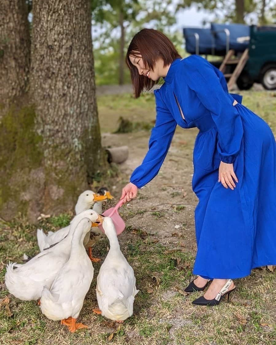 古河由衣さんのインスタグラム写真 - (古河由衣Instagram)「🪿💭🪿💭🪿💭🪿💭」10月26日 20時58分 - furuyuistagram