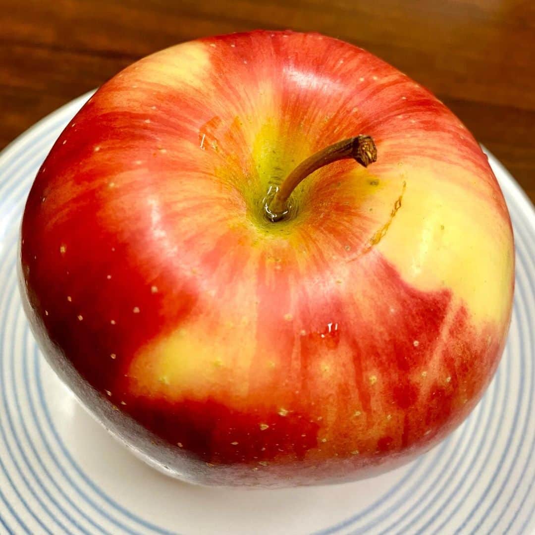 江口寿史さんのインスタグラム写真 - (江口寿史Instagram)「長野で頂いた林檎を食べよう。これは秋映(あきばえ)ですかね？誰か林檎の品種に詳しい人教えて。  （後述）コメント欄でいろいろ教えてもらいましたが、結局決定的にはわかりませんでした！笑。でもおいしかった！適度に甘くて酸っぱくて、果肉は粉っぽくない、硬めでシャキッとした歯触りで。」10月26日 20時59分 - egutihisasi