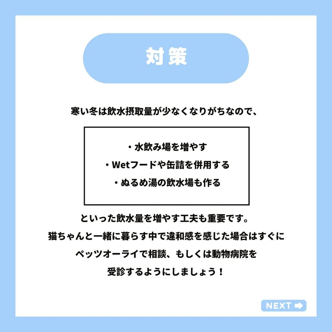 PET'S ALL RIGHT 【公式】さんのインスタグラム写真 - (PET'S ALL RIGHT 【公式】Instagram)「@pets_all_right👈他の投稿はこちらから！  ＜寒い季節に警戒すべき、子猫の病気＞  寒い時期になると子猫ちゃんは体調を崩しやすくなります。 本投稿を参考に、猫ちゃんと一緒に暮らす中で違和感を感じた場合はすぐにペッツオーライで相談、もしくは動物病院を受診するようにしましょう！  ---  💎自己紹介  ⭐️ペットとの生活における豆知識 ⭐️私、僕たちのわんちゃんねこちゃん ⭐️獣医師、トレーナーによるアドバイス  などをご紹介しています  「この情報役に立つ！」 「私・僕たちのわんちゃんねこちゃんを紹介してほしい！」  と思ったそこのあなた！！  いいね・コメント・保存・フォローお待ちしております🔥  他にもいろいろ役立つ情報やかわいいわんちゃんねこちゃんを ご紹介しているので、プロフィールからチェックしてみてね！！  @pets_all_right  姉妹アカウントWan!Passでは ワンちゃんとのお出かけ・旅行情報を発信中🚗³₃ @wanpass2022  ---  #ペッツオーライ #wanpass #ワンパス #猫のいる暮らし #猫大好き🐈 #猫大好き人間 #にゃんこ部屋 #猫好きと繋がりたい #猫好きの輪を広げよう #かわいい猫ちゃん #子猫のいる生活 #猫初心者 #猫初心者なのでいろいろ教えてください」10月26日 21時00分 - pets_all_right