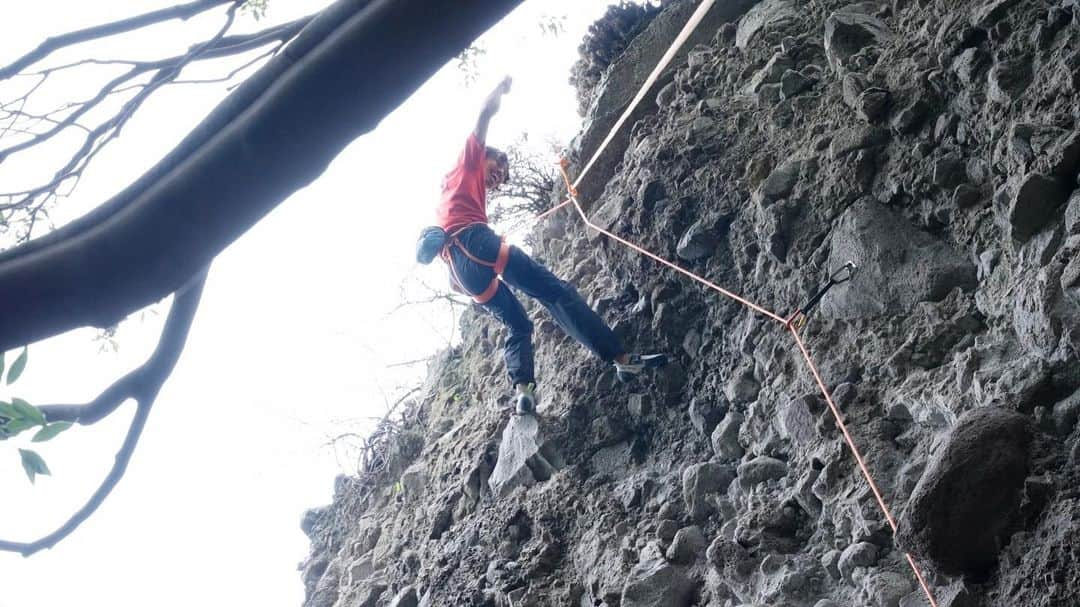 安間佐千さんのインスタグラム写真 - (安間佐千Instagram)「梅干し 5.14d/9a ✅  小豆島の開拓エリアを初めて訪れた時、幾つも魅力的なラインが思い浮かんだ。その中でも印象的だったのがこの1本。小さなケイブの出口にある巨大な礫には、誰もが驚くだろう。  離陸から激しく、その巨大な梅干しに向かって続くアンダーを辿る。梅干しは見た目には不可能に見えるのだが、、、  10月のツアーでの最大の目標だったのだが、まだ暑さや湿気もありツアー終盤まで苦戦。ケイブ抜け口で2回フォールし、雨が降る直前のトライでなんとか登り切ることができた。素晴らしい1本の完成が本当に嬉しい。こんなユニークで、現代的なルートは日本のどこを探しても、小豆島でしか味わえない。  グレードは、コンディションがベストでないこともあり、暫定的。個人的には赤嶽の箱舟5.14cより総合的に難しく感じる。  先日のPolarisと梅干しは、映像に収めてもらったので、公開お楽しみに！  Umeboshi 5.14d 9a  When I first visited this undeveloped area of Shodoshima, several attractive lines came to mind. One of the most impressive was this one. The huge conglomerate at the exit of a small cave would surprise anyone.  From the takeoff, hard moves with under clings followed that led toward that huge Umeboshi. The Umeboshi looks impossible on the outside, but..,  It was my main goal for the October tour, but I still struggled until the end of the tour due to the heat and humidity. I fell twice at the cave exit and managed to climb out on the attempt just before the rain started.  I am really happy to have completed a great one. Such a unique and modern route can only be found in Shodoshima, no matter where you look in Japan.  The grade is tentative, as the conditions are not the best. Personally, I feel it is more difficult overall than Akadake’s “Hakobune”5.14c.  Photos taken by @climb.do @cogworkscoltd @ue_climbing @hibiki_miyazawa   @adidasterrex  @fiveten_official  @petzl_official  @carbongrip  @newhale_japan  @newhale_climbing  #アルテリア  @shodoshimaclimbing  @shodoshima_olive_yh_good_stay  #小豆島クライミング」10月26日 21時04分 - sachiamma