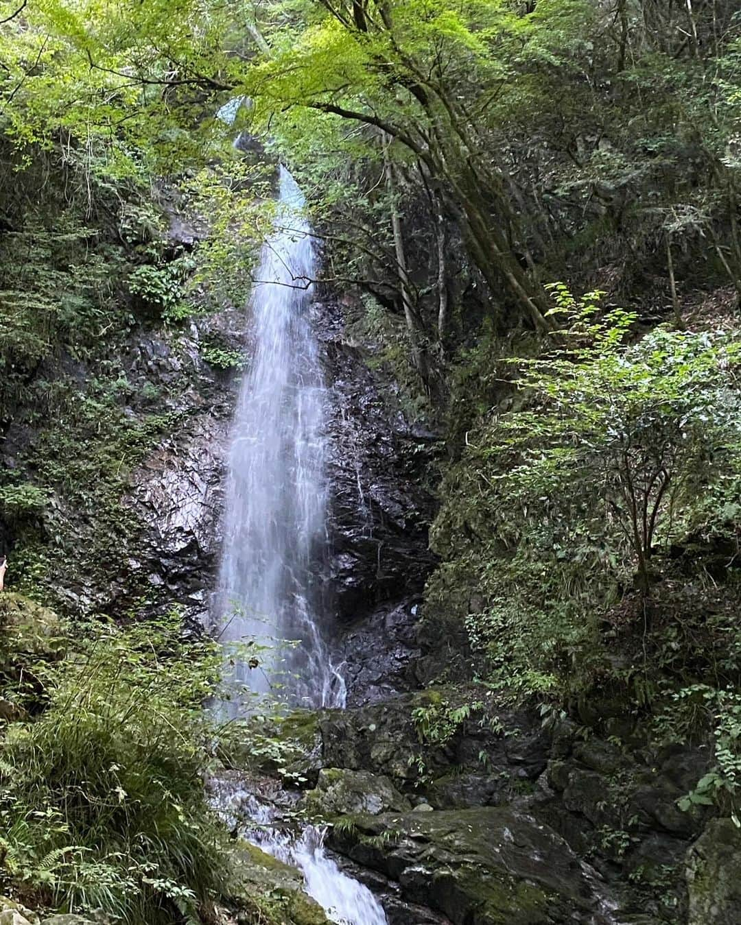 櫻井紗季さんのインスタグラム写真 - (櫻井紗季Instagram)「季節外れだけど🍃 夏のおわりに地元の友人と自然にかえったよ~ 全力で水切りした！ 緑に触れないとダメになっちゃうのは上京した頃から変わらない😂来年は川でスイカ冷やしたいね🍉  #夏のおもいで #川遊び #滝好き #アウトドアコーデ #渓谷 #アウトドア女子」10月26日 21時12分 - saki_sakurai_official