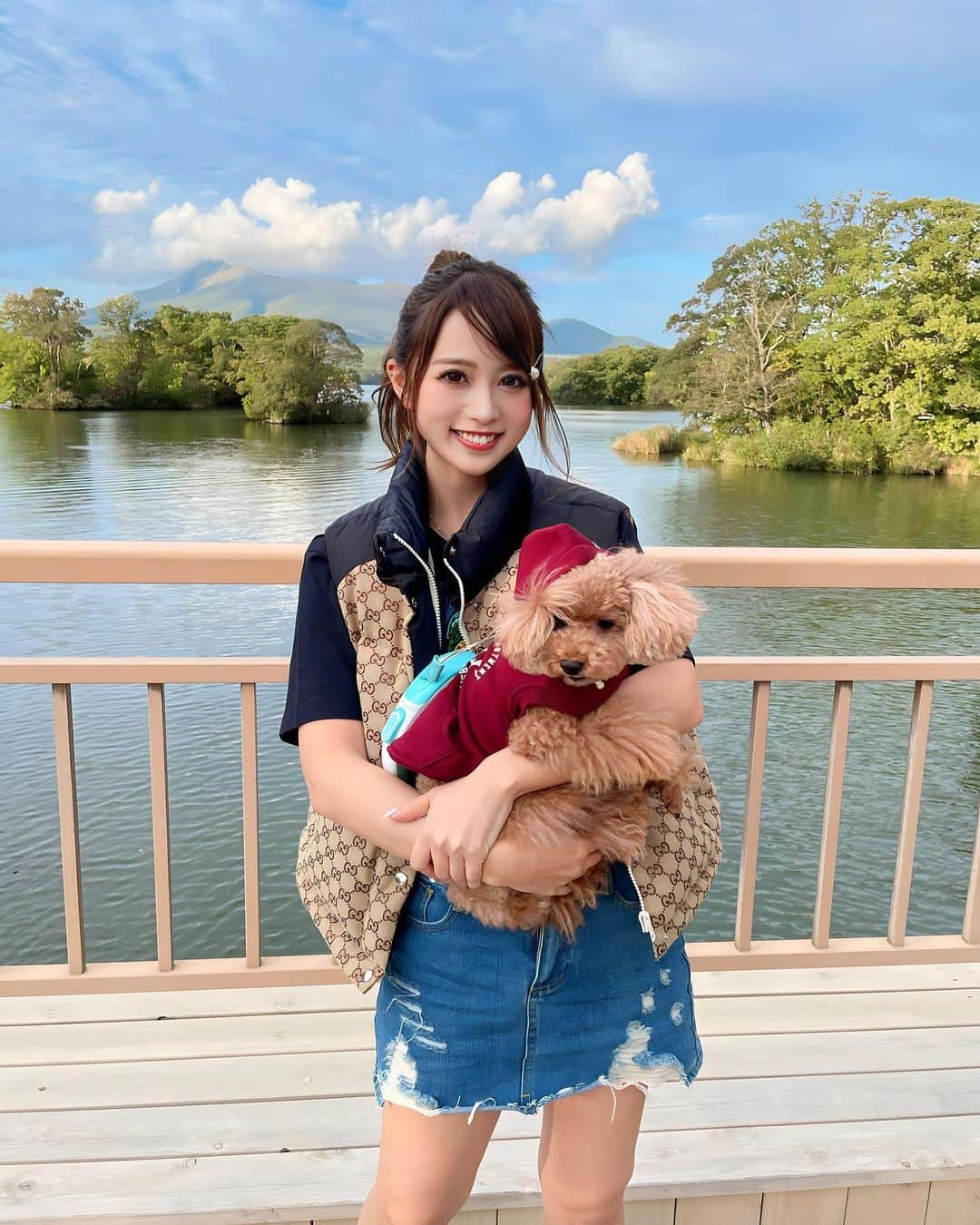 なみめろのインスタグラム：「⁡ ⁡ ⁡ 実家のちょび🐶🐾 ⁡ ほんっっとに、お利口さんで人懐こくてかわいいの☺️💖 いつも、ティアと遊んでくれてありがとね🫶♥ ⁡ ⁡ #いぬすたぐらむ #ペットのいる暮らし #トイプー #ポメプー」