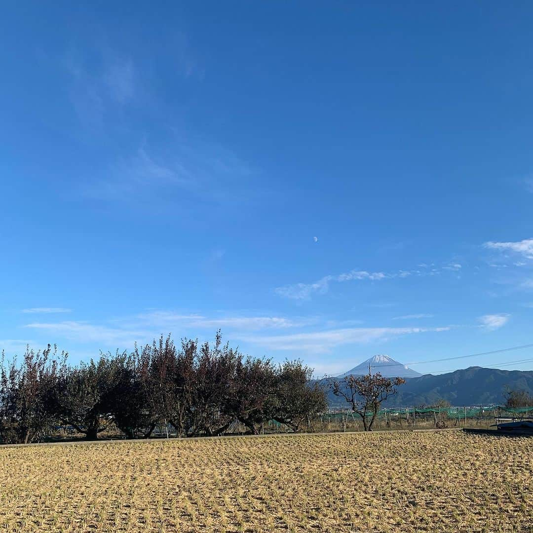 浅利そのみさんのインスタグラム写真 - (浅利そのみInstagram)「10月5日。 富士山の初冠雪の便りとともに、 浅利農園の今シーズンのフルーツの収穫が全て終了致しました。  購入して下さった皆さま、 支えて下さった皆さま、 本当にありがとうございました。  さくらんぼは雨でパカパカ割れてしまうし、 桃は強風で傷付きまくってしまったし、 巨峰はまだらに色付き、 シャインマスカットは未開花症、、、  暑さも異常、、、  今シーズンは、心が折れそうになることが続きました。  悔しくて悲しくて、泣いたこともたくさん。  それでも、家族みんなで美味しい笑顔が増えたらいいなぁと 力を合わせて頑張りました。  家族だからこそ、 ギスギス、ピリピリしてしまうことも多かったけど、 今シーズンは4人にパワーアップして、 いつもとは違った1年になったと思いました。  そして、今まで以上に、 周りの農業仲間に助けてもらいました。  泣きそうになったとき、 忙しいのに話を聞いてくれたり、励ましてくれたり。  仲間や先輩の存在がとても大きかったです。  そして、浅利農園のフルーツだから、と、どんな状況でも 楽しみに待ってくれて、購入して下さる皆さんの優しさに、 上を向いて頑張らねば！と奮い立たされました。  巨峰やシャインマスカットのカップをたくさん 置かせて下さった道の駅しもべのみなさん、 そして、割れや傷、着色不良など市場に出せなかった 果物を加工して使って下さったお店のみなさんにも 心から感謝です。  改めまして、関わって下さった皆さま 本当に本当にありがとうございました。  稲刈り、脱穀、藁切りと続き、 お米もひと段落したので、やっとホッとしたところ。  あーしたい、こーしたいが、 全くカタチにはなっていないけど、 少しずつ、少しずつ、実現できるよう 冬の間はたくさん妄想して😆 また、来シーズン、頑張りたいと思います。  遅くなりましたが、 感謝の気持ちを込めて。  浅利農園 浅利そのみ  #浅利農園 #南アルプス市 #さくらんぼ #桃 #ぶどう #やまなし農業女子 #お礼が遅すぎますね #すみません」10月26日 21時44分 - asarisonomi