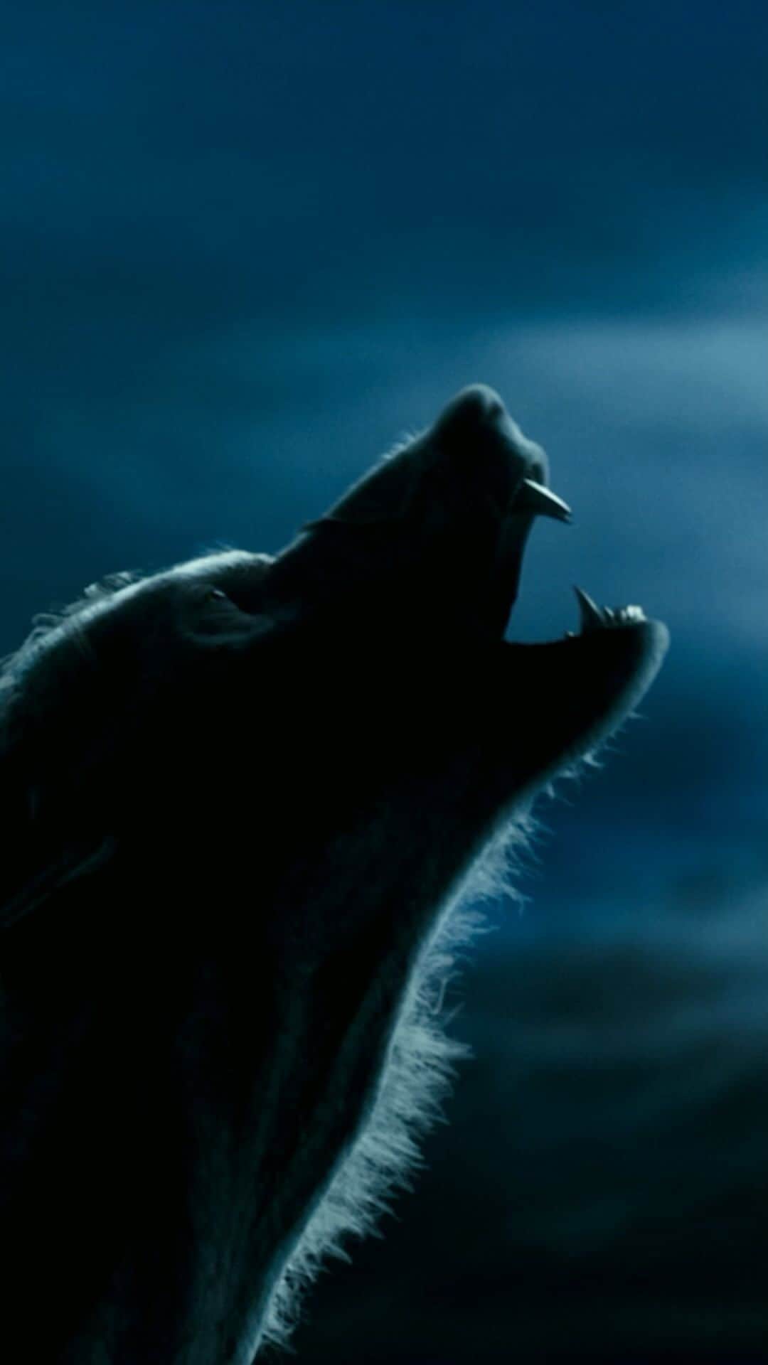 ハリー・ポッターのインスタグラム：「trying to perfect our werewolf howls in time for halloween like –」