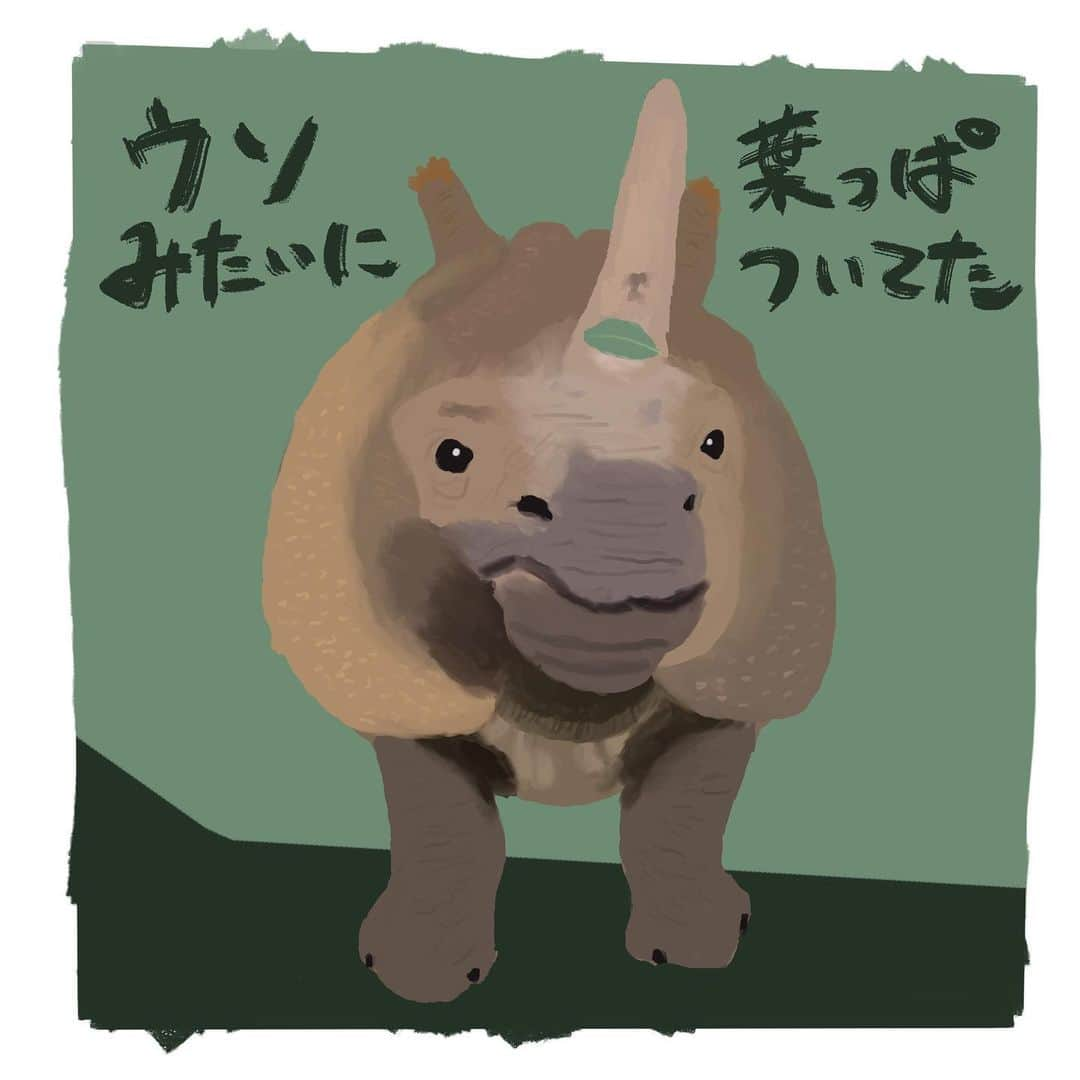 竹内一希さんのインスタグラム写真 - (竹内一希Instagram)「多摩動物公園のイラスト、お次はサイです。 多摩動物公園にはタヌキもいるんですが、この日は隠れてしまっていたのか一匹も観れませんでした。 まあしょうがないと他の動物を回っているとウソみたいに葉っぱをつけたサイと遭遇。 僕はタヌキも観れたとカウントしてます。  #多摩動物公園  #サイ  #タヌキ  #イラスト」10月26日 22時54分 - pitchertakeuchi