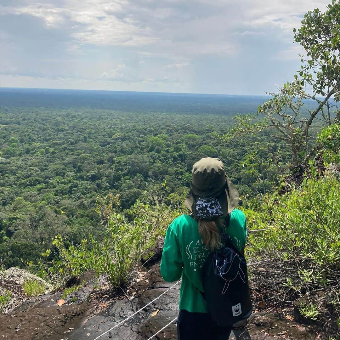エリー・ゴールディングさんのインスタグラム写真 - (エリー・ゴールディングInstagram)「A few weeks ago I visited the Amazon rainforest in Colombia with @wwf_uk to experience firsthand why forests are so crucial for nature, for people and for climate. And it was more beautiful than I ever could have imagined.    But every day incredible forests like the Amazon, and the species that rely on them, are under threat. Like the jaguar – whose corridors we followed through the rainforest. And the river dolphins who played beside my boat on the laguna.    Just a few days after my trip, at least 125 river dolphins died in the Brazilian Amazon because of a devasting drought that is developing across the region. Forests habitats, nature and people are experiencing the catastrophic effects of climate change RIGHT NOW.    On my journey, I had the privilege of meeting inspirational local community members who are protecting the Amazon. They are forming forest brigades, farming more sustainably and leading wildlife monitoring projects for endangered species such as jaguars and river dolphins.  We will not reach our global goals on deforestation without local and Indigenous people like this.    Despite numerous pledges and declarations to protect our forests by our world leaders and decision makers - deforestation rates are not coming down fast enough. Our forests are heading for a future in which they are emptied of wildlife, damaged by climate change and increasingly pressured by wildfires, development and unsustainable food systems.    We have just seven years to meet the global goals of halting and reversing deforestation. And we all have a part to play. You, me, all of us. There's no time to waste. Let’s turn promises into action NOW.   #ForestPathwaysReport #Forests #ForOurWorld」10月26日 23時02分 - elliegoulding